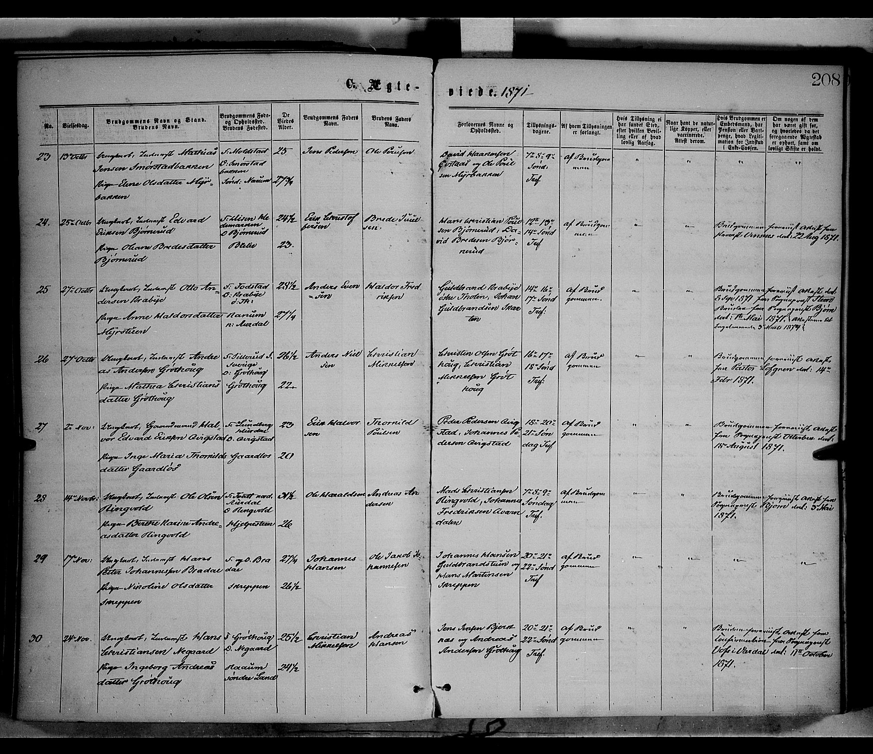 Vestre Toten prestekontor, AV/SAH-PREST-108/H/Ha/Haa/L0008: Parish register (official) no. 8, 1870-1877, p. 208