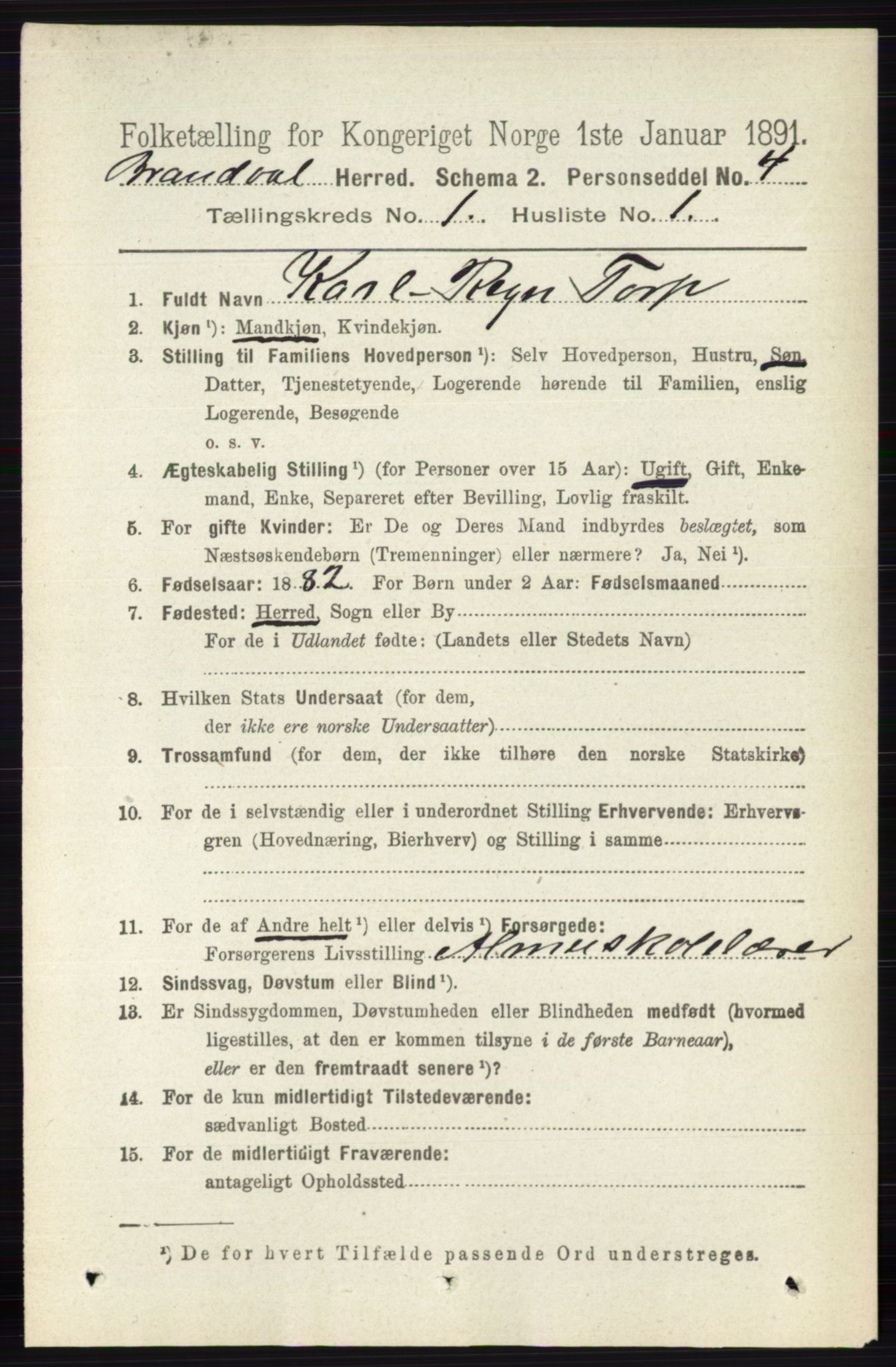 RA, 1891 census for 0422 Brandval, 1891, p. 115