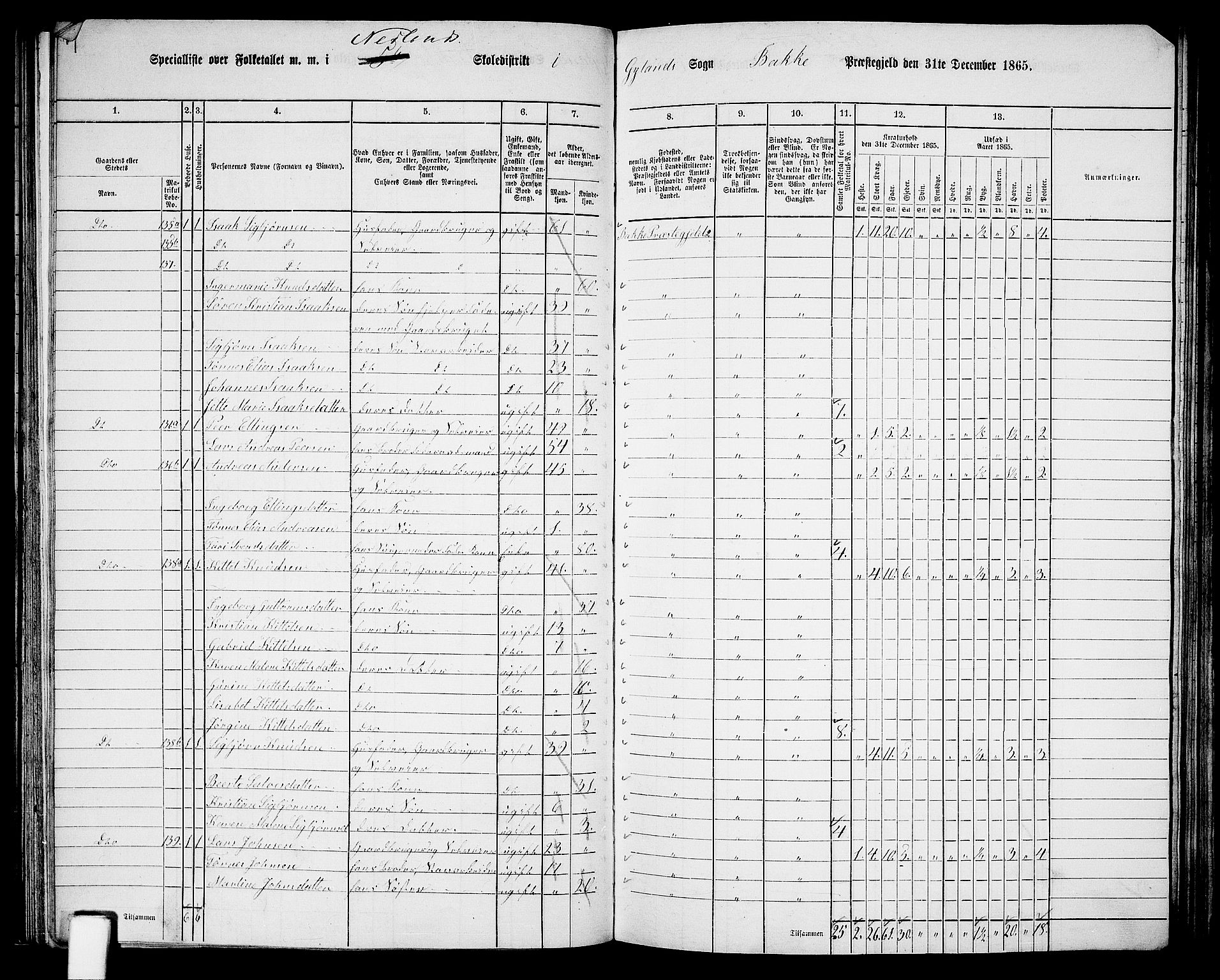 RA, 1865 census for Bakke, 1865, p. 55