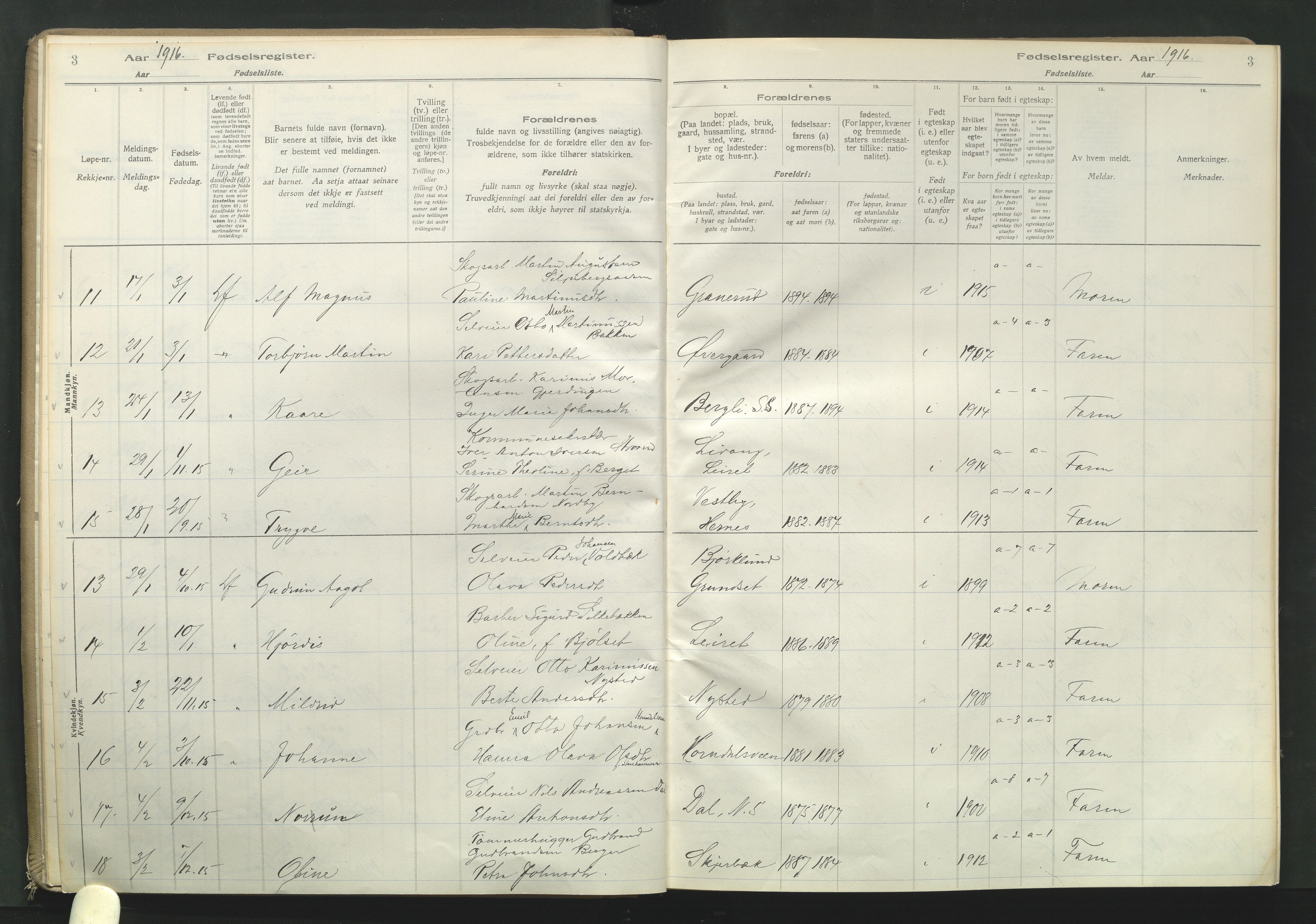 Elverum prestekontor, AV/SAH-PREST-044/I/Id/L0001: Birth register no. 1, 1916-1921