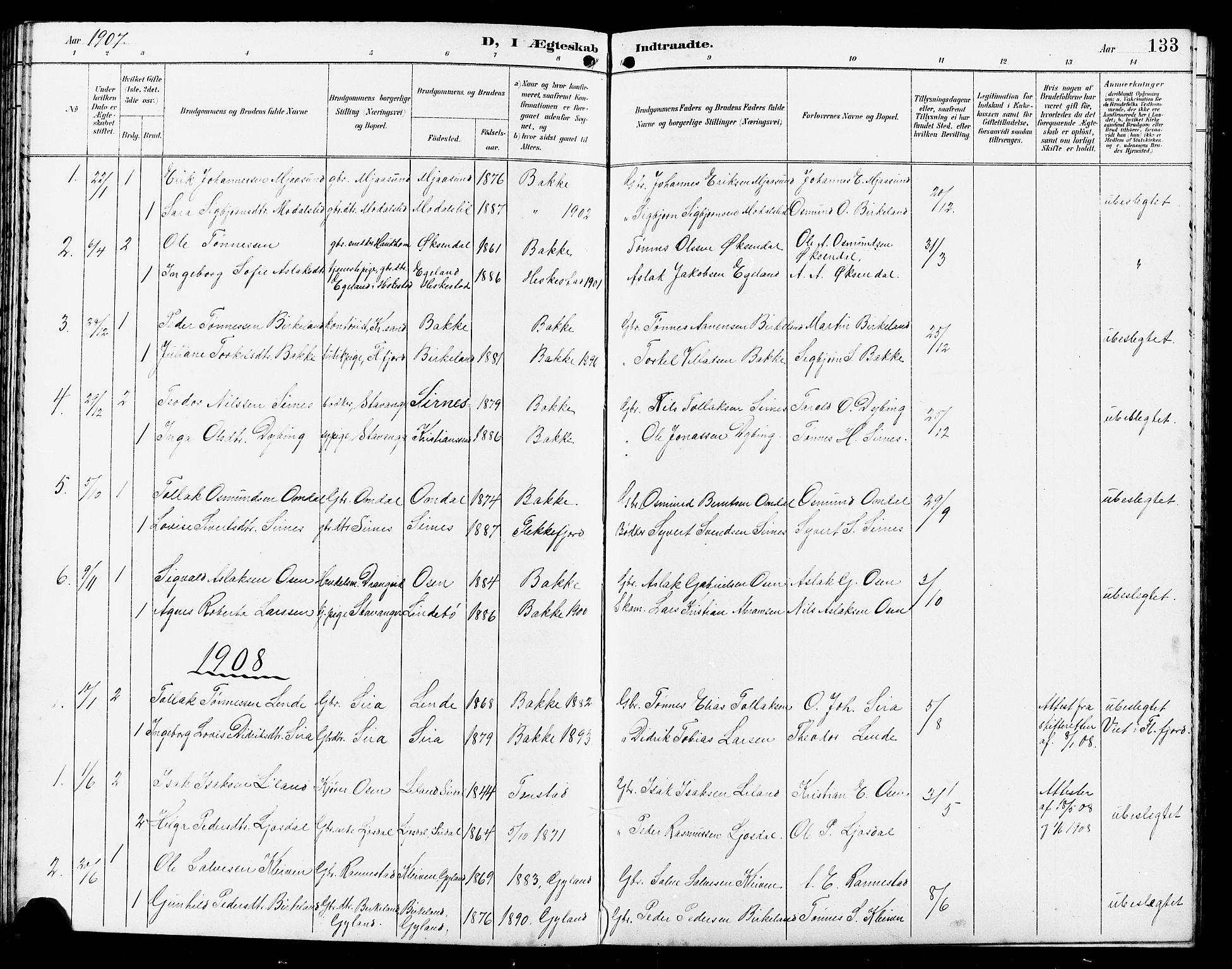 Bakke sokneprestkontor, SAK/1111-0002/F/Fb/Fba/L0003: Parish register (copy) no. B 3, 1894-1910, p. 133