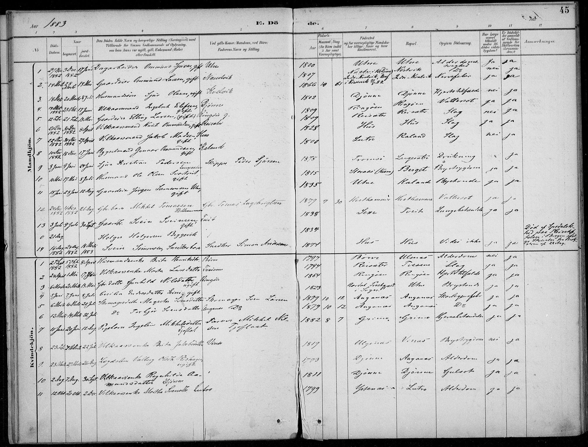 Ullensvang sokneprestembete, SAB/A-78701/H/Haa: Parish register (official) no. E  3, 1883-1916, p. 45