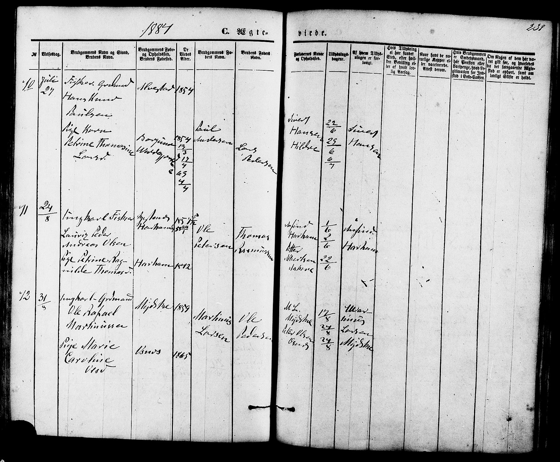 Ministerialprotokoller, klokkerbøker og fødselsregistre - Møre og Romsdal, AV/SAT-A-1454/536/L0500: Parish register (official) no. 536A09, 1876-1889, p. 238