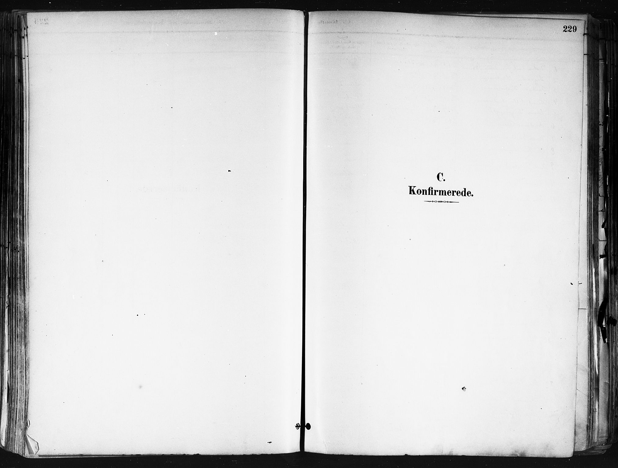 Nes prestekontor Kirkebøker, AV/SAO-A-10410/F/Fa/L0010: Parish register (official) no. I 10, 1883-1898, p. 229