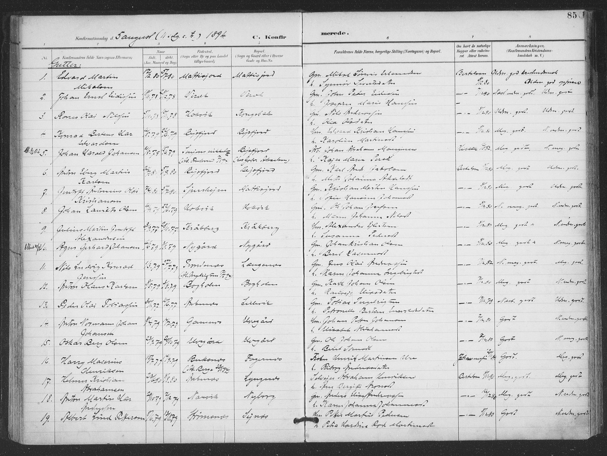 Ministerialprotokoller, klokkerbøker og fødselsregistre - Nordland, SAT/A-1459/866/L0939: Parish register (official) no. 866A02, 1894-1906, p. 85