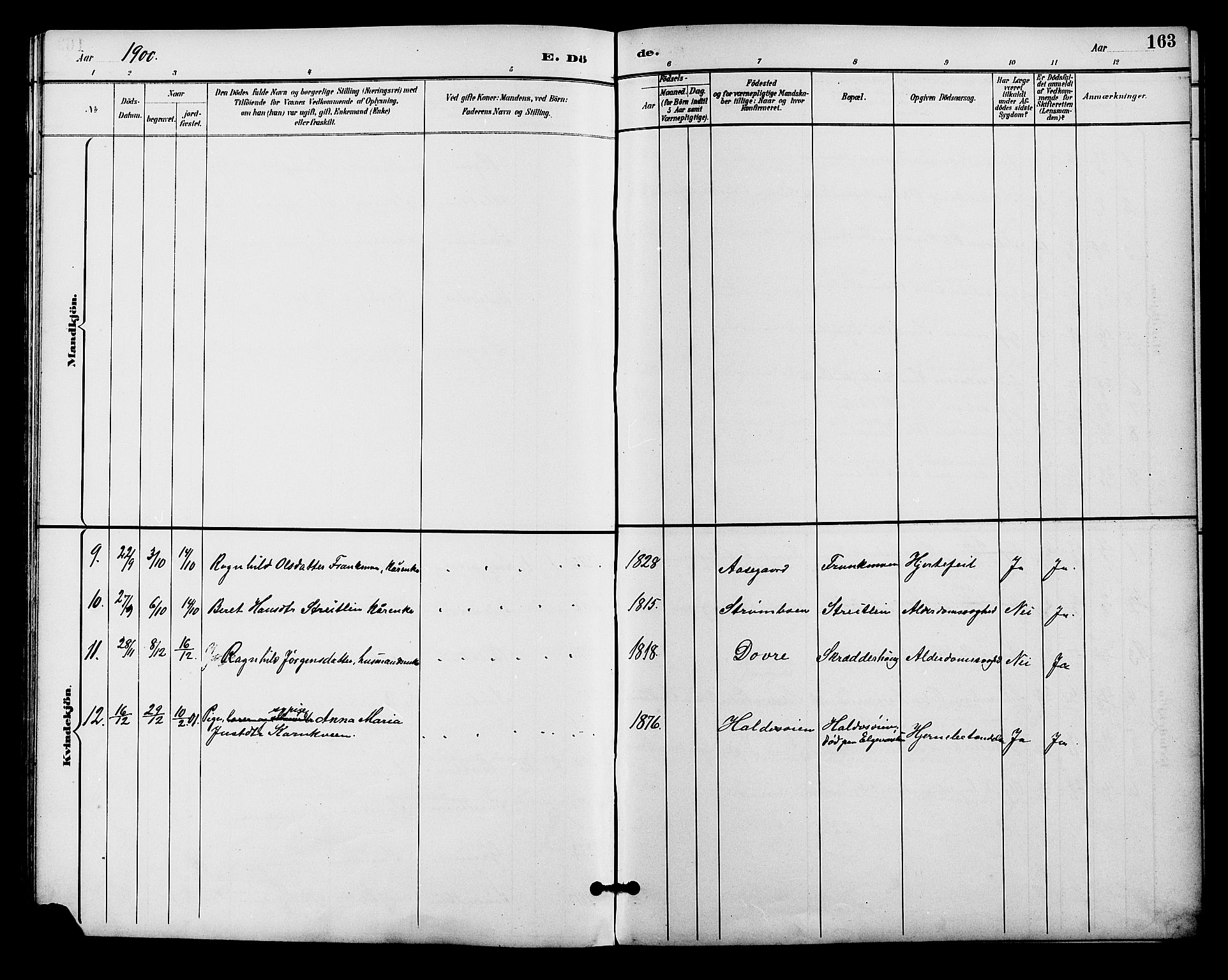 Alvdal prestekontor, AV/SAH-PREST-060/H/Ha/Hab/L0004: Parish register (copy) no. 4, 1894-1910, p. 163