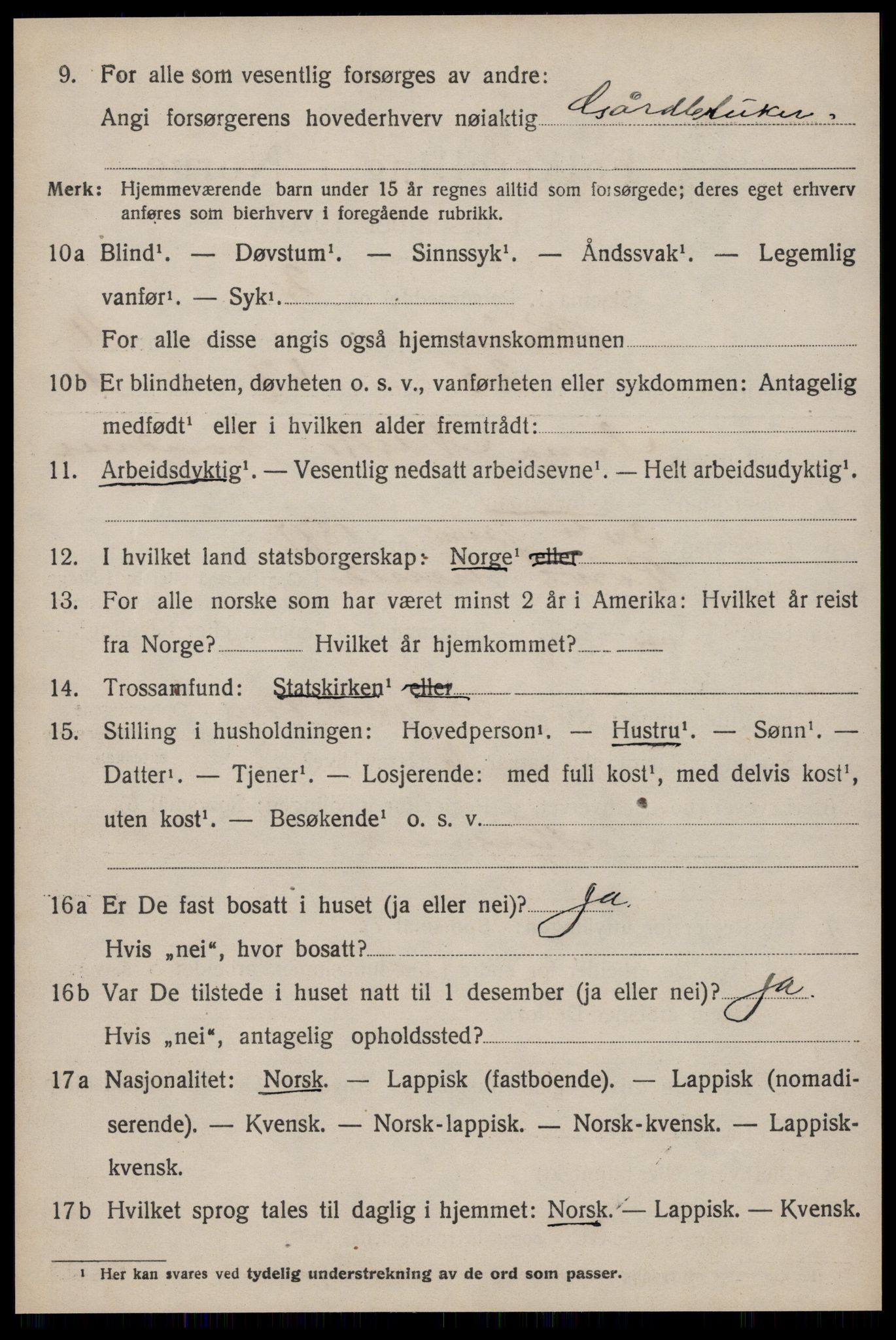 SAT, 1920 census for Røros, 1920, p. 11301