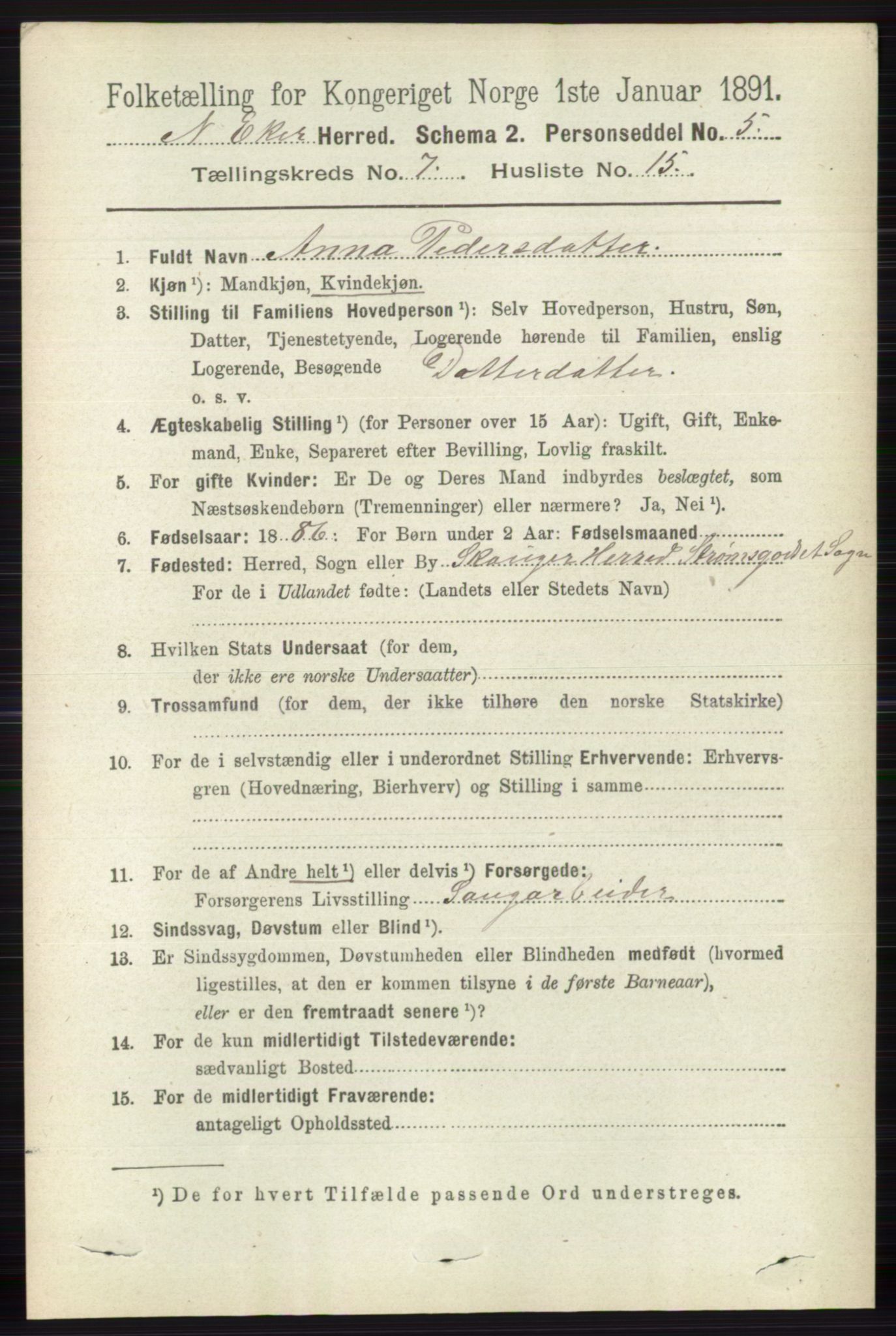 RA, 1891 census for 0625 Nedre Eiker, 1891, p. 3491