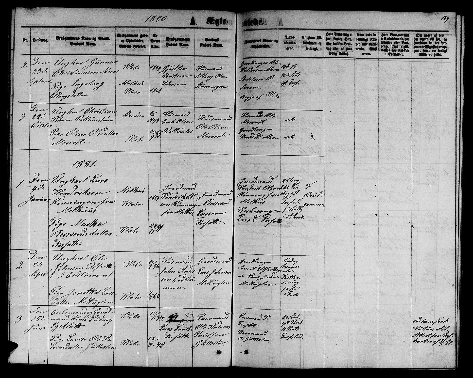 Ministerialprotokoller, klokkerbøker og fødselsregistre - Sør-Trøndelag, SAT/A-1456/618/L0451: Parish register (copy) no. 618C02, 1865-1883, p. 129