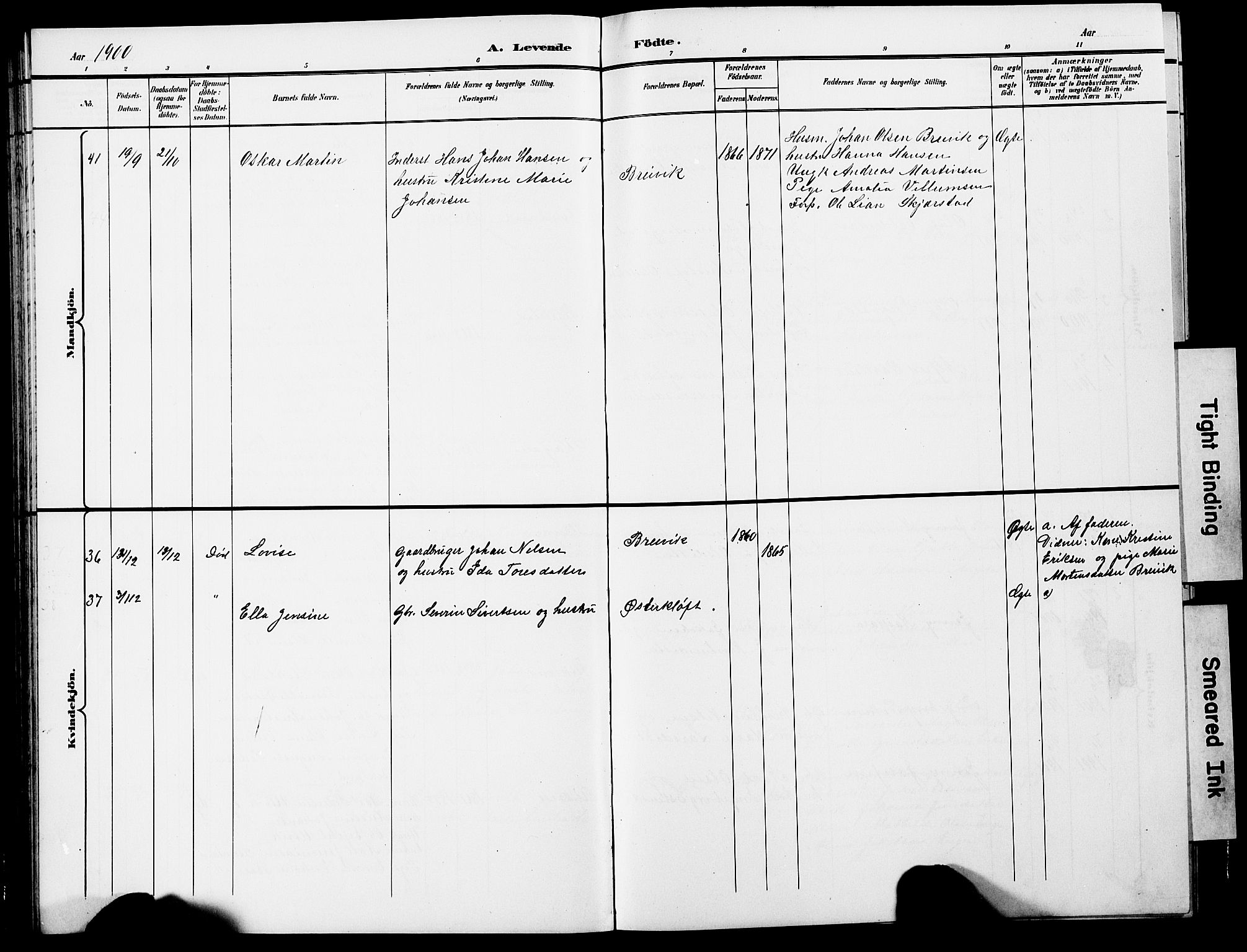 Ministerialprotokoller, klokkerbøker og fødselsregistre - Nordland, SAT/A-1459/852/L0755: Parish register (copy) no. 852C06, 1895-1902