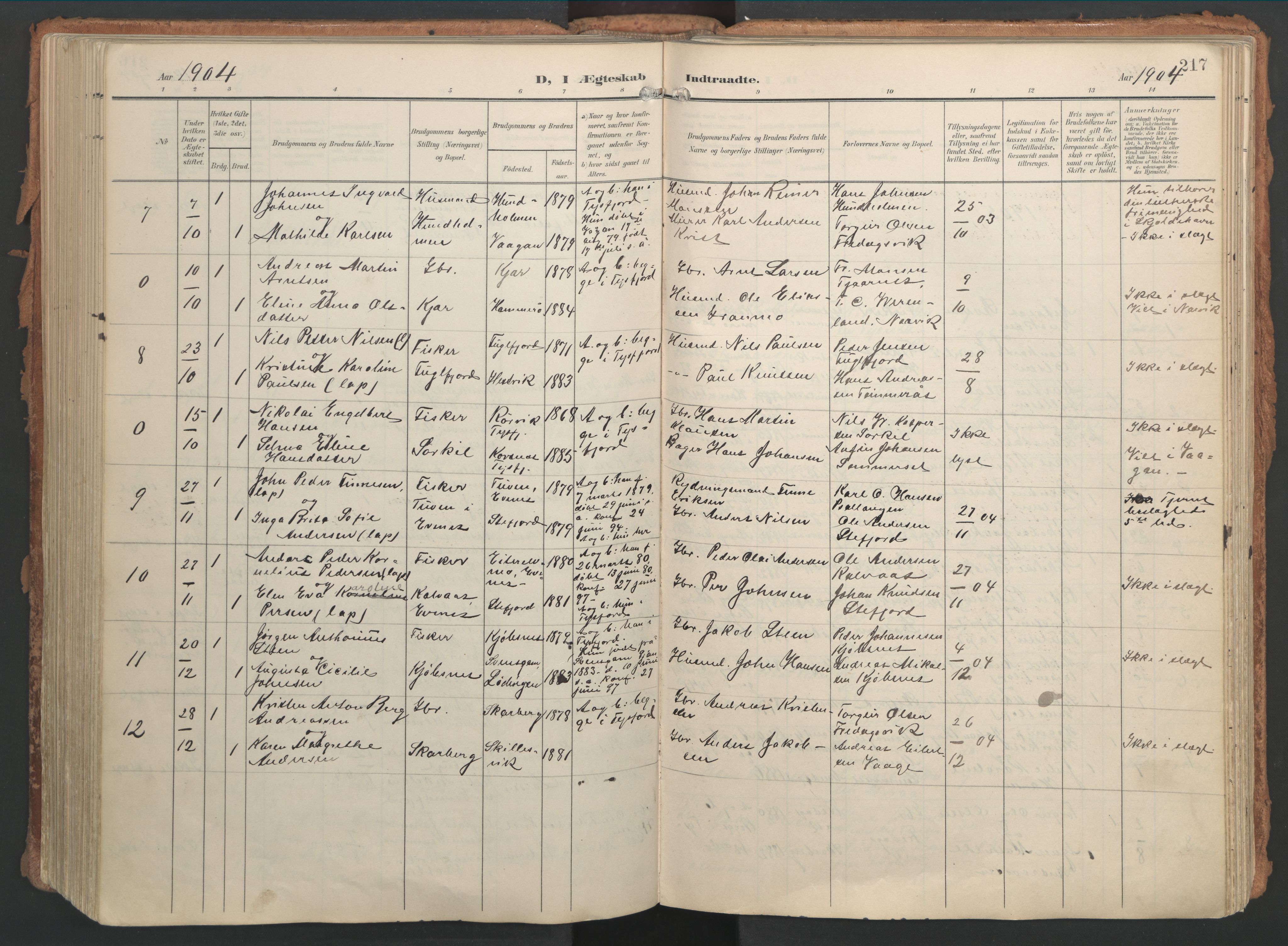 Ministerialprotokoller, klokkerbøker og fødselsregistre - Nordland, AV/SAT-A-1459/861/L0871: Parish register (official) no. 861A06, 1903-1916, p. 217