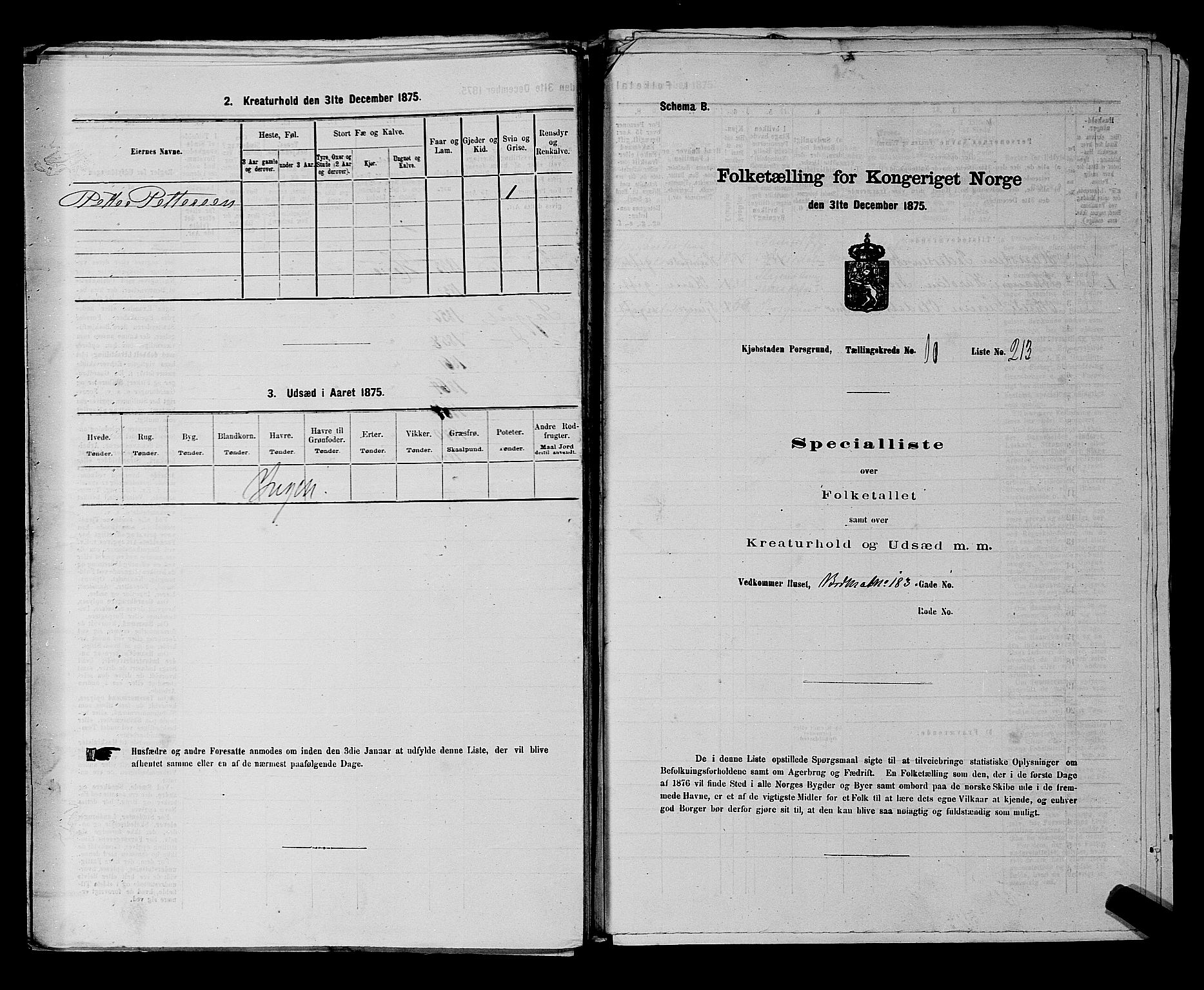 SAKO, 1875 census for 0805P Porsgrunn, 1875, p. 492