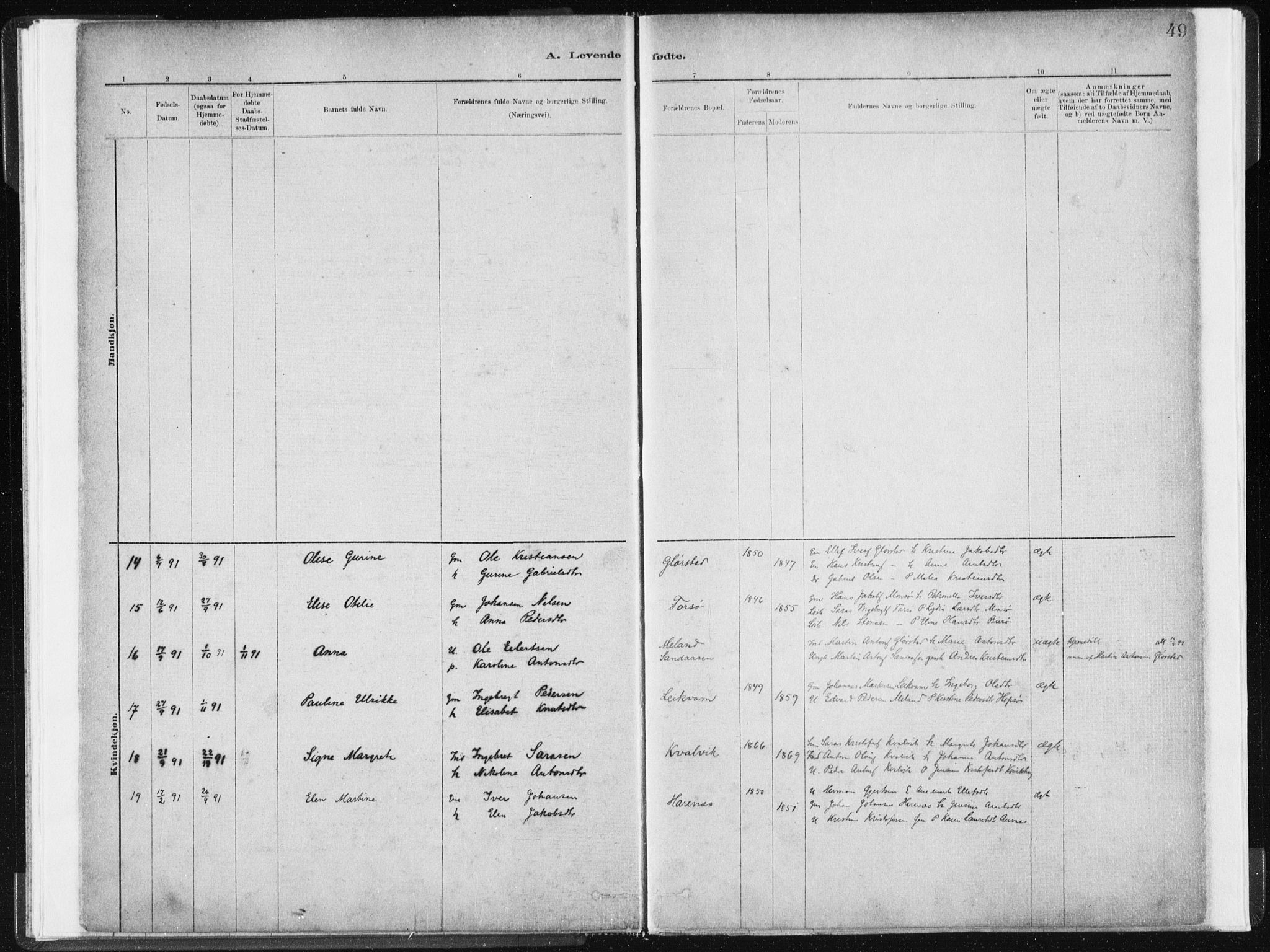 Ministerialprotokoller, klokkerbøker og fødselsregistre - Sør-Trøndelag, SAT/A-1456/634/L0533: Parish register (official) no. 634A09, 1882-1901, p. 49