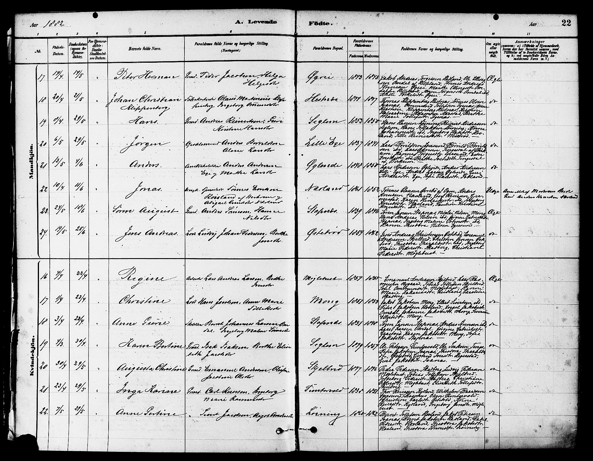 Eigersund sokneprestkontor, AV/SAST-A-101807/S08/L0017: Parish register (official) no. A 14, 1879-1892, p. 22