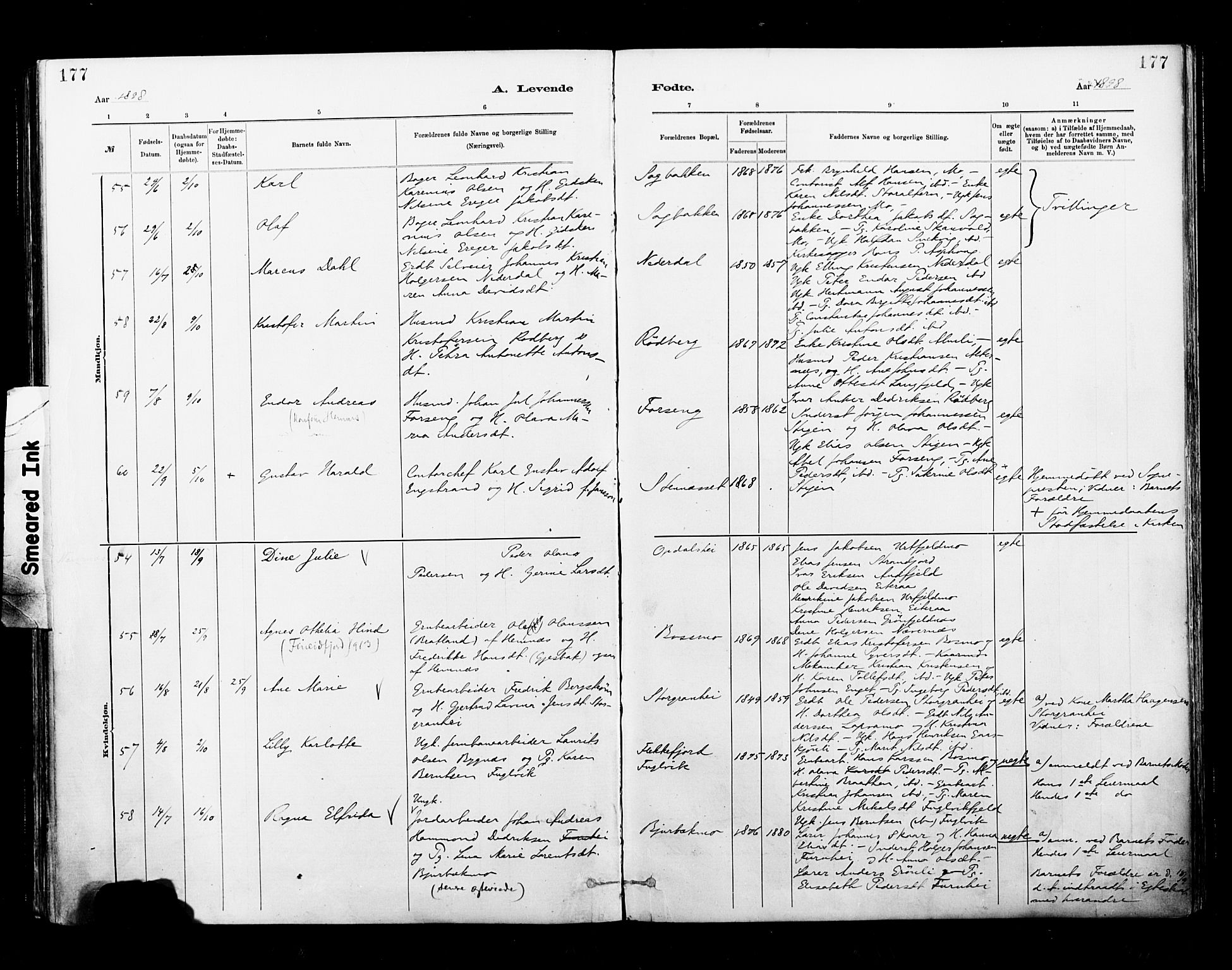 Ministerialprotokoller, klokkerbøker og fødselsregistre - Nordland, SAT/A-1459/827/L0400: Parish register (official) no. 827A12, 1883-1903, p. 177