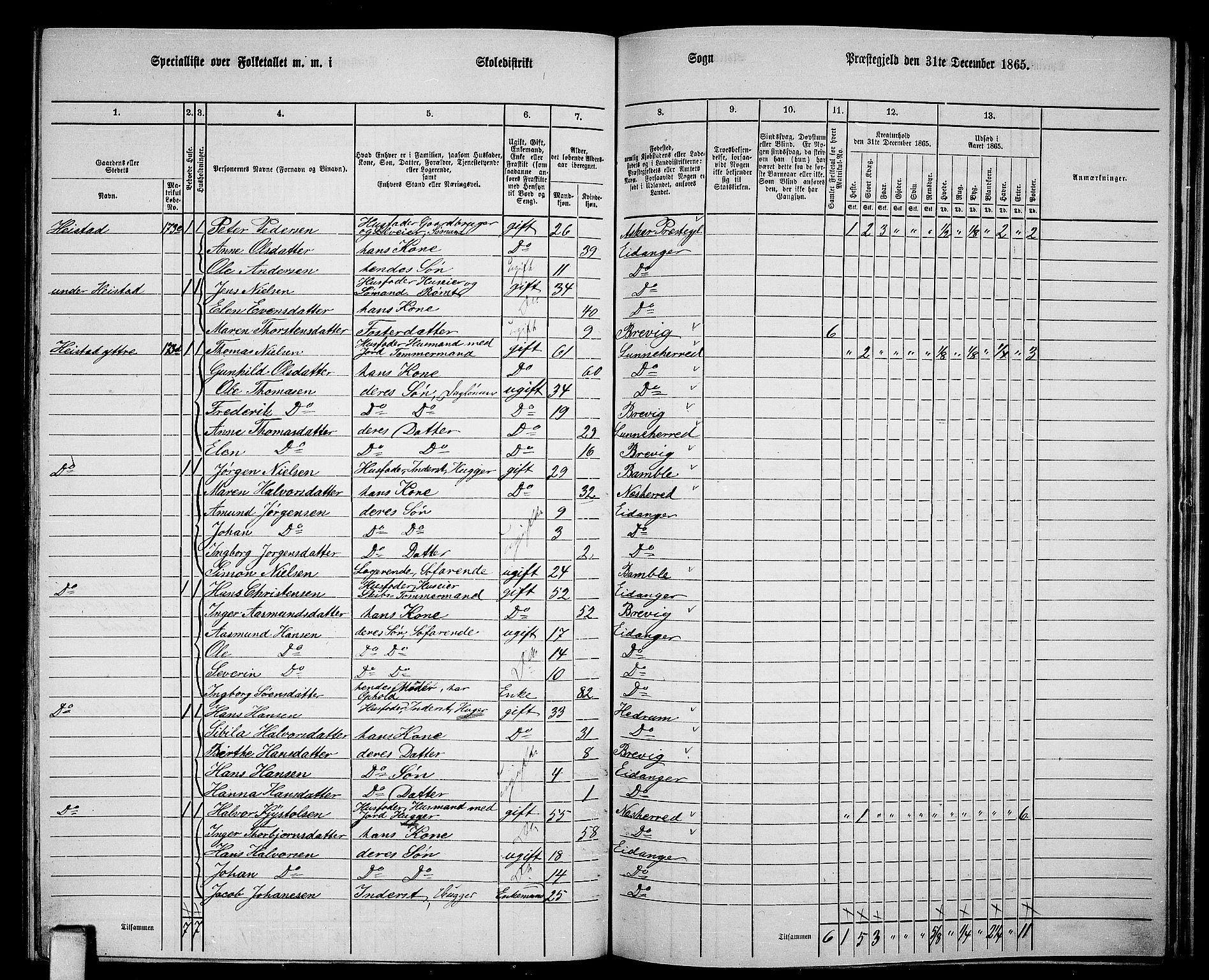 RA, 1865 census for Eidanger, 1865, p. 83