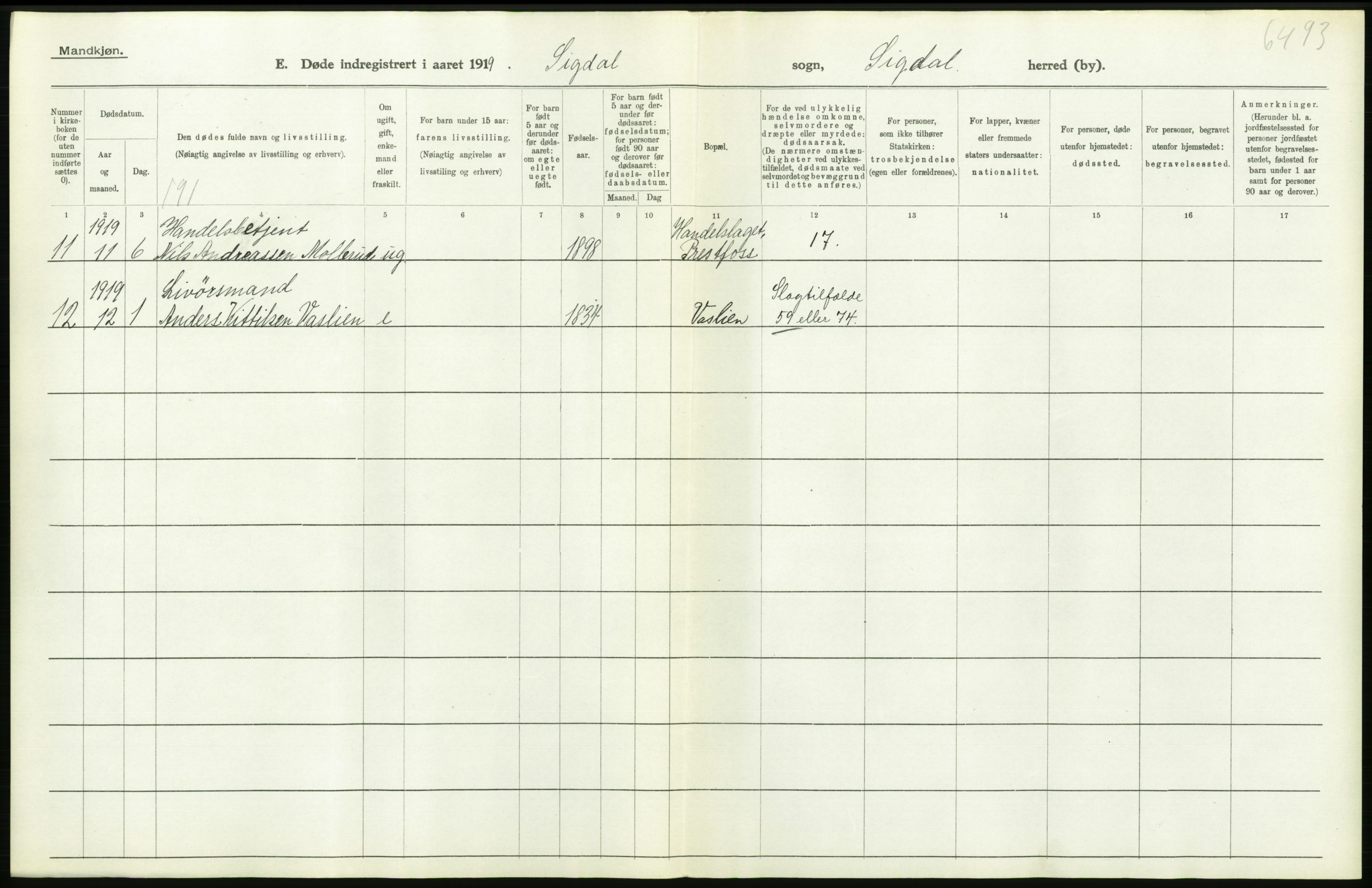 Statistisk sentralbyrå, Sosiodemografiske emner, Befolkning, AV/RA-S-2228/D/Df/Dfb/Dfbi/L0018: Buskerud fylke: Døde. Bygder og byer., 1919, p. 232