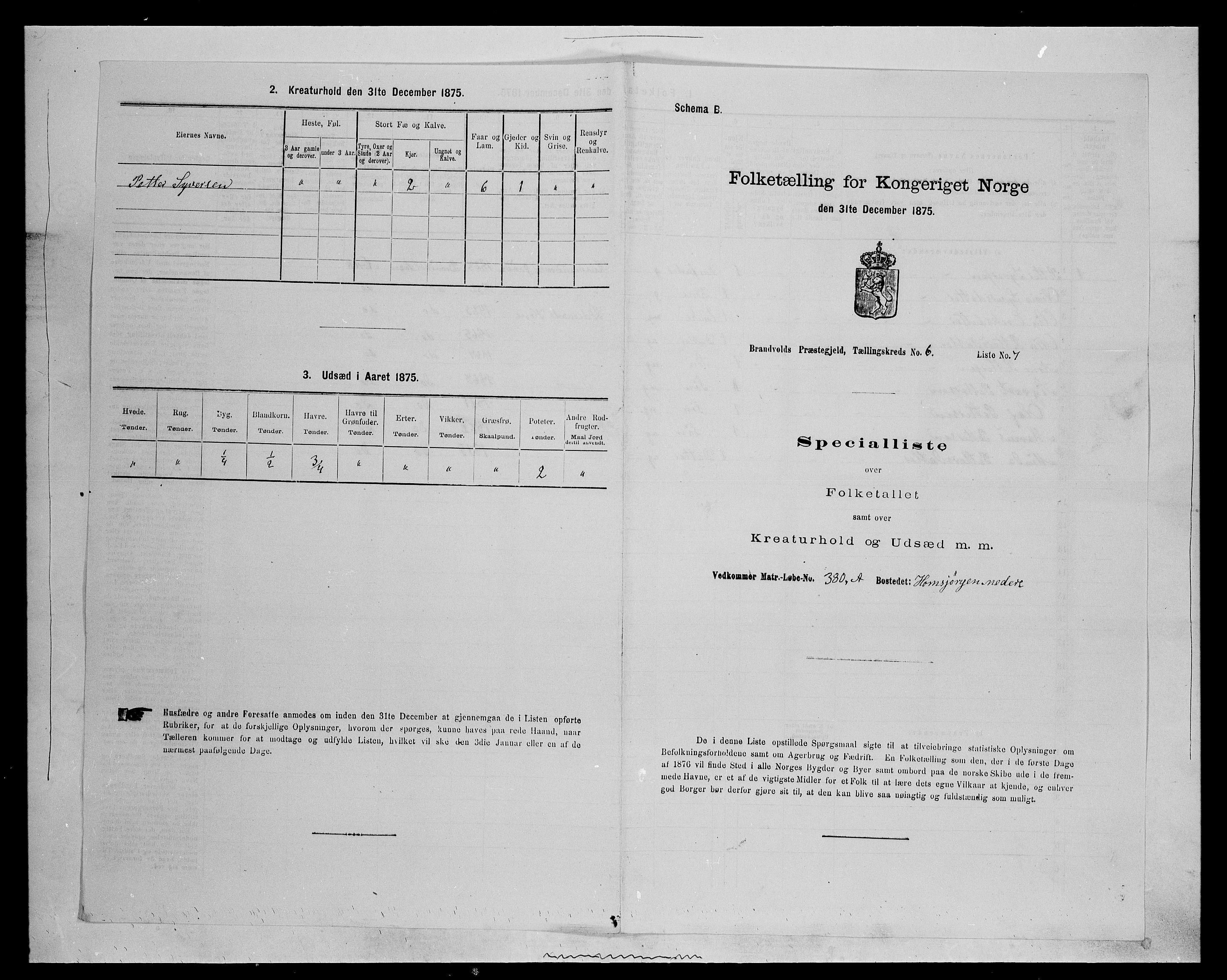 SAH, 1875 census for 0422P Brandval, 1875, p. 1024