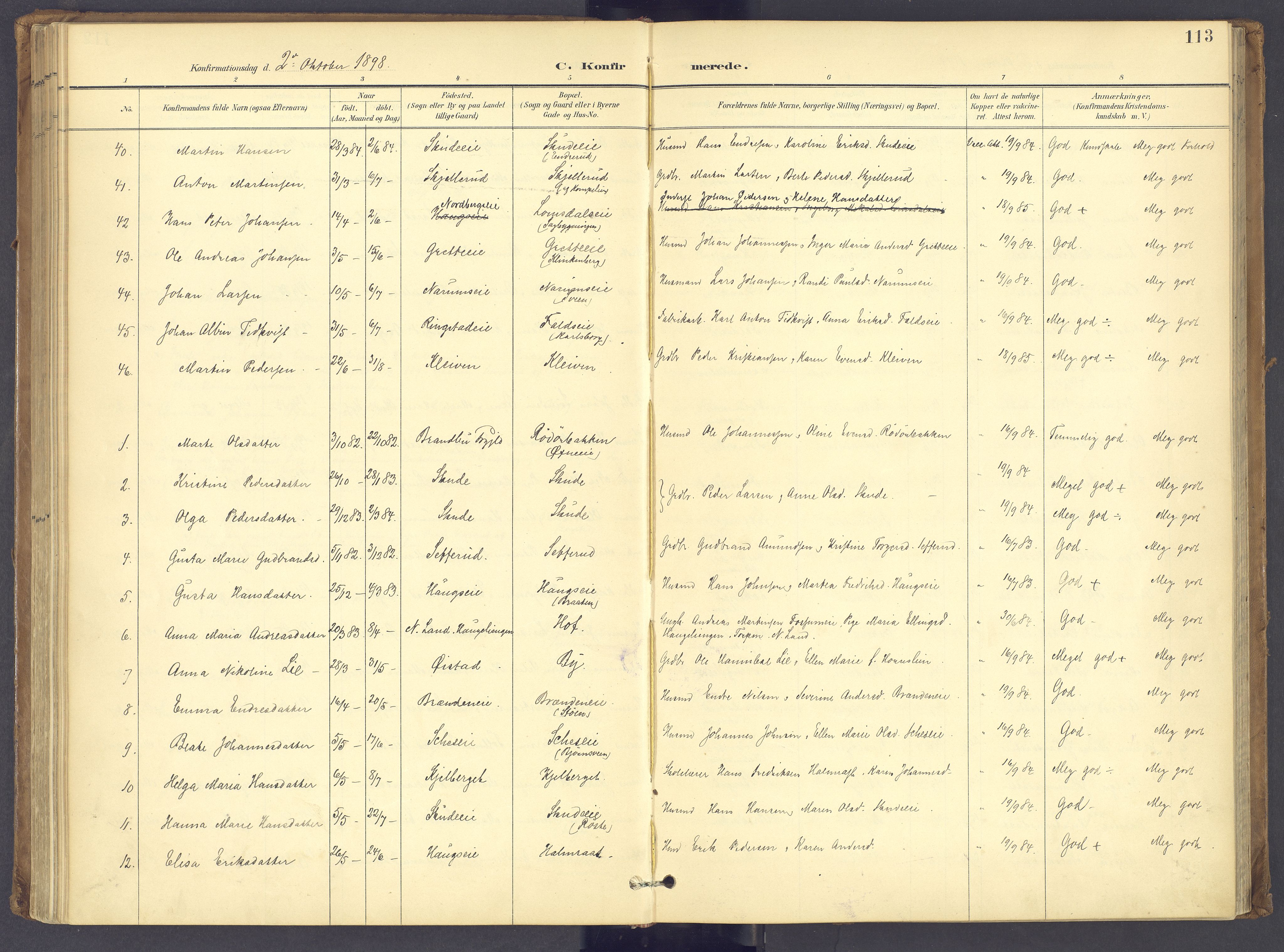 Søndre Land prestekontor, AV/SAH-PREST-122/K/L0006: Parish register (official) no. 6, 1895-1904, p. 113