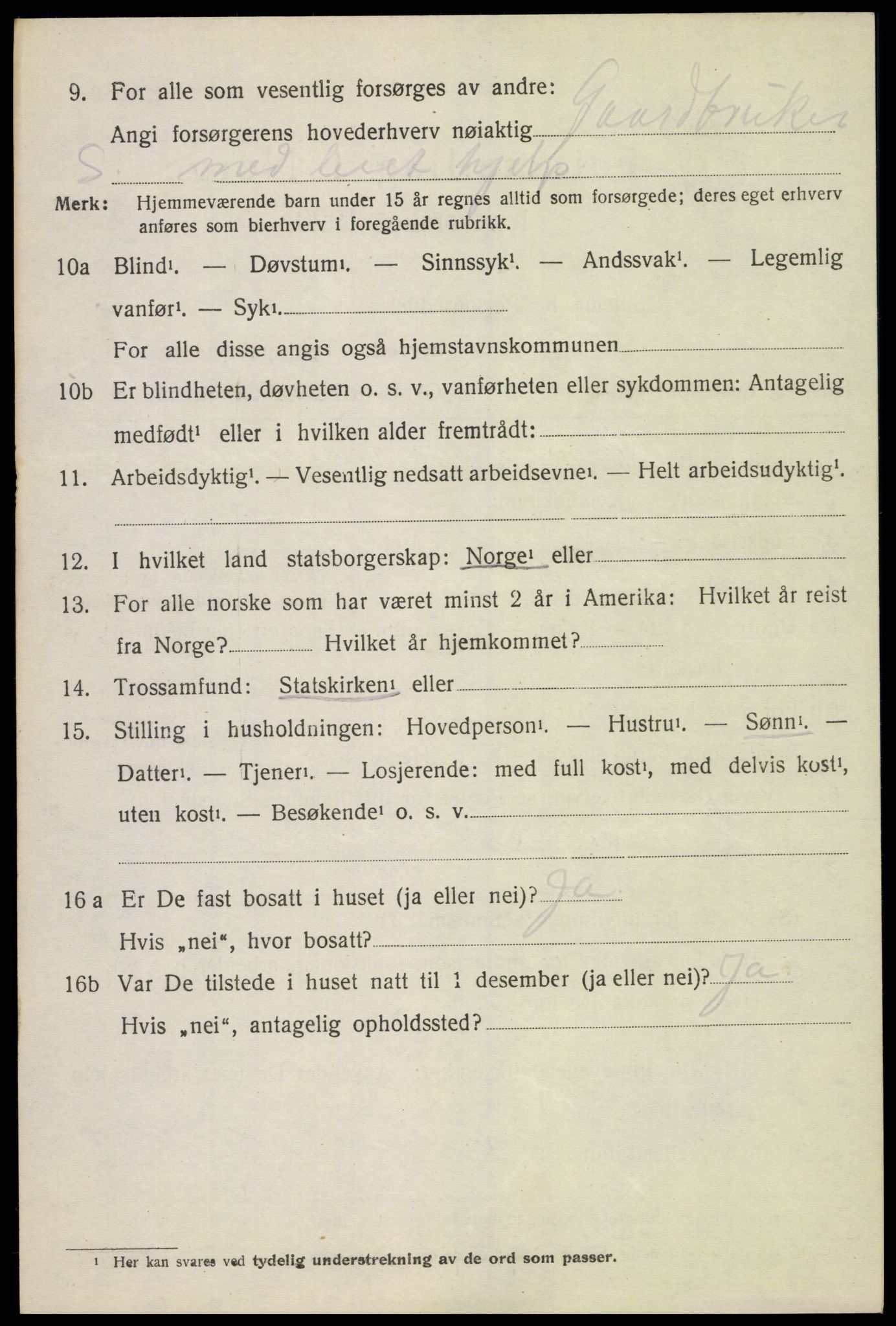 SAH, 1920 census for Heidal, 1920, p. 507