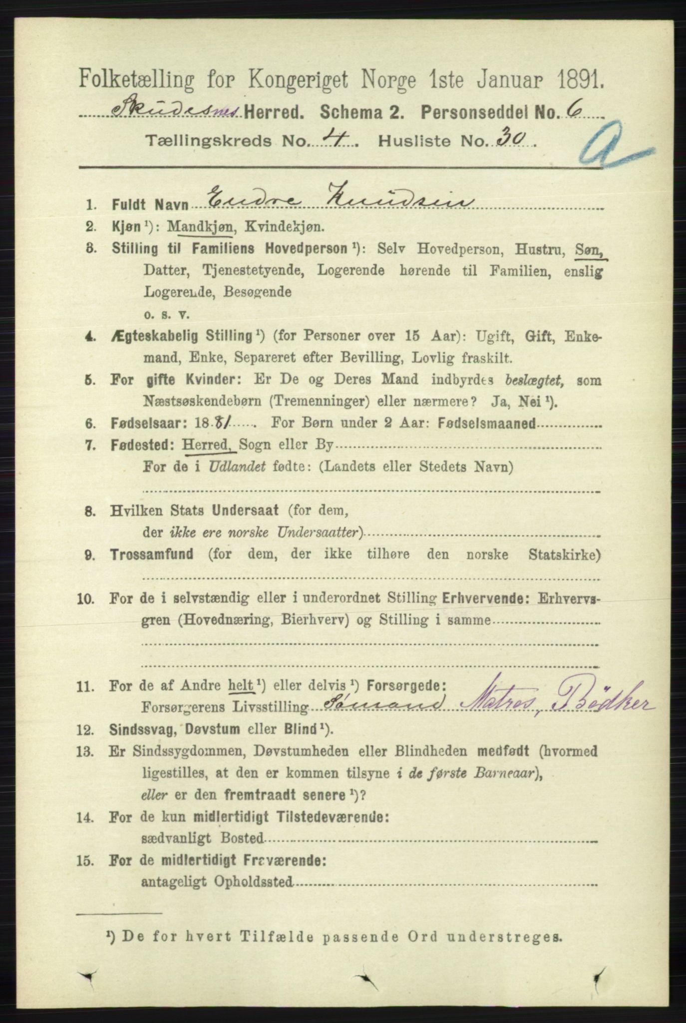 RA, 1891 census for 1150 Skudenes, 1891, p. 2043