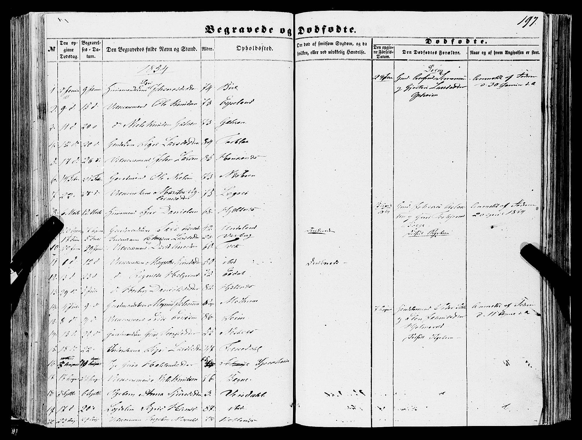Ulvik sokneprestembete, SAB/A-78801/H/Haa: Parish register (official) no. A 13, 1853-1863, p. 197