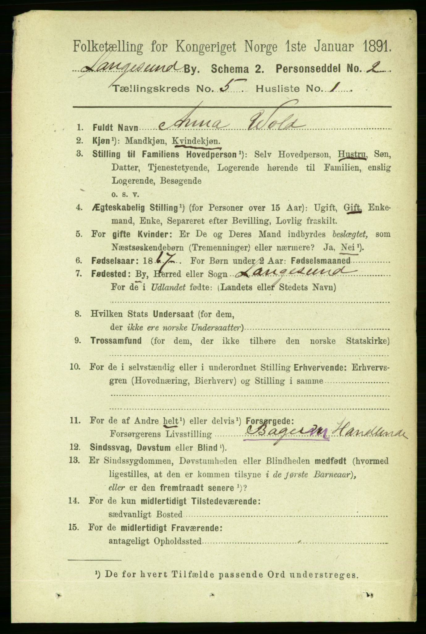 RA, 1891 census for 0802 Langesund, 1891, p. 1293