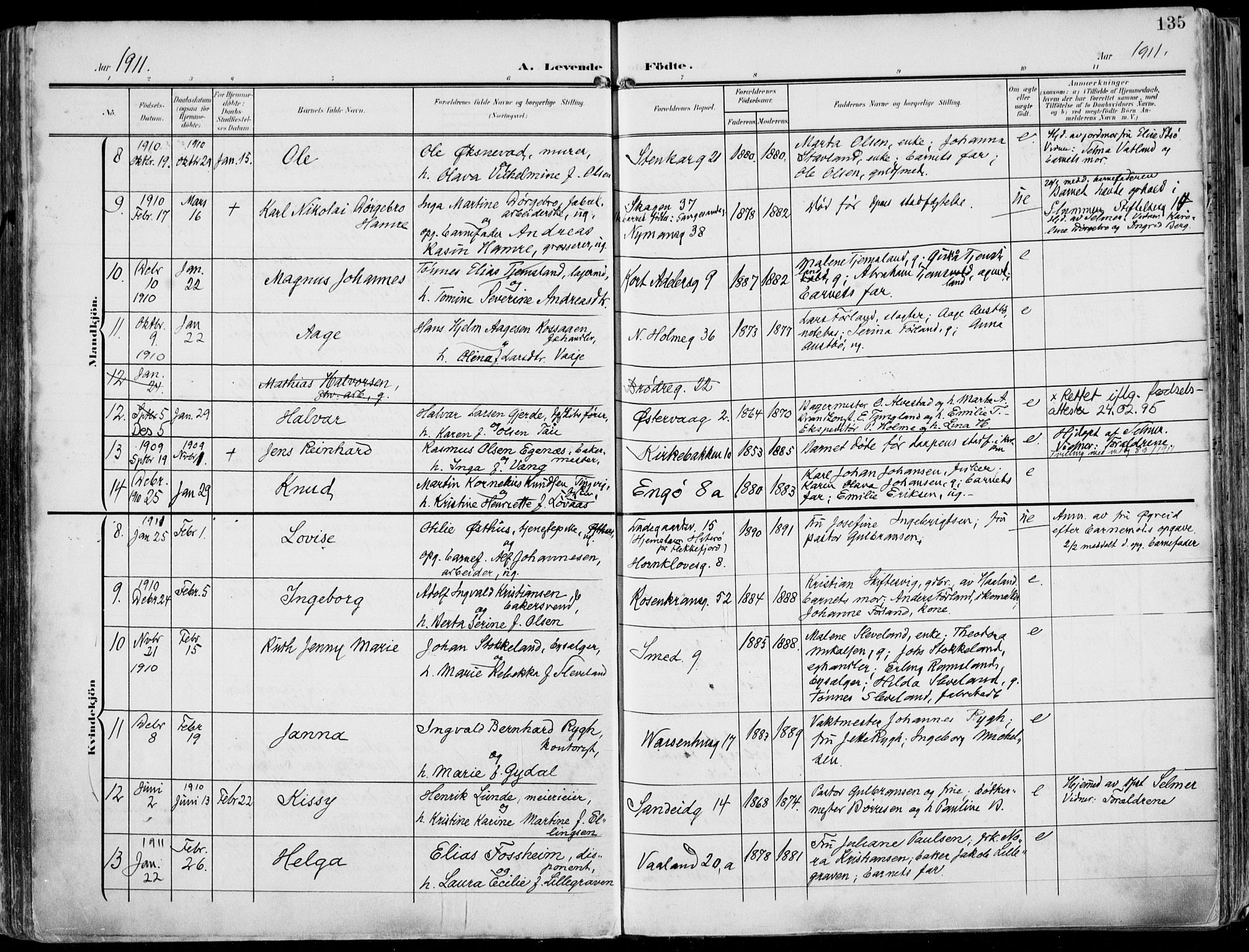 St. Petri sokneprestkontor, AV/SAST-A-101813/002/A/L0005: Parish register (official) no. A 23, 1902-1918, p. 135