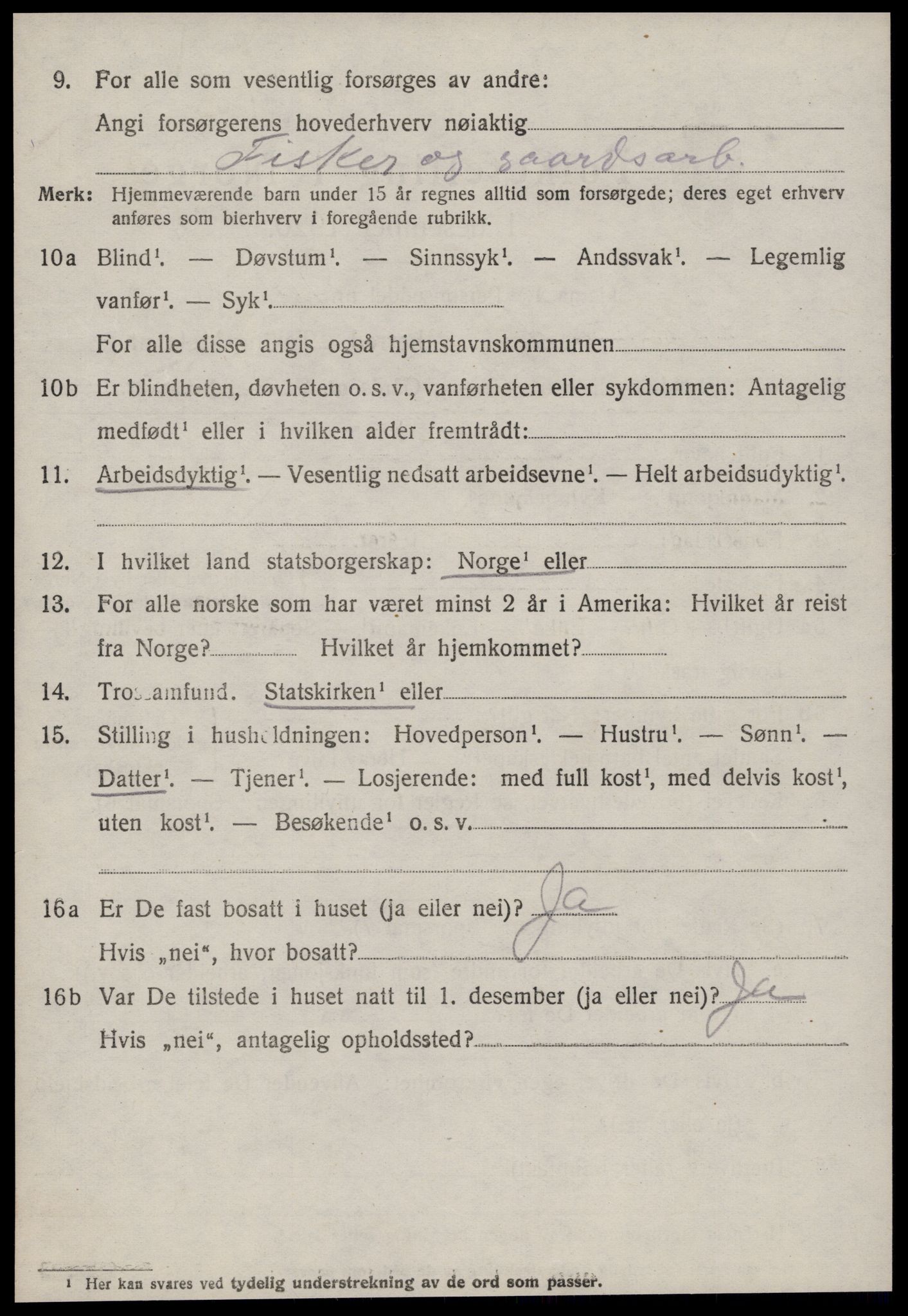 SAT, 1920 census for Hustad, 1920, p. 1154