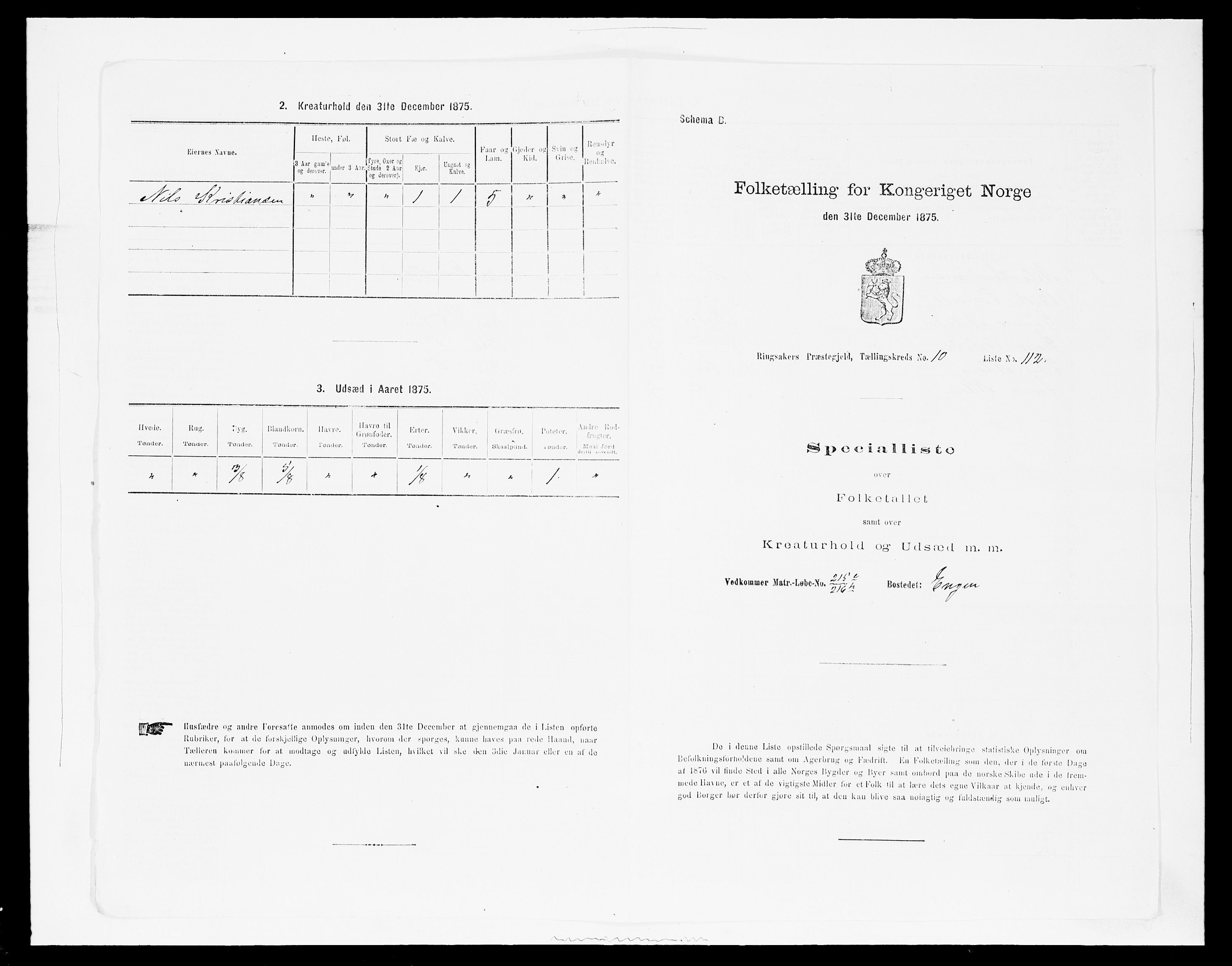 SAH, 1875 census for 0412P Ringsaker, 1875, p. 2156