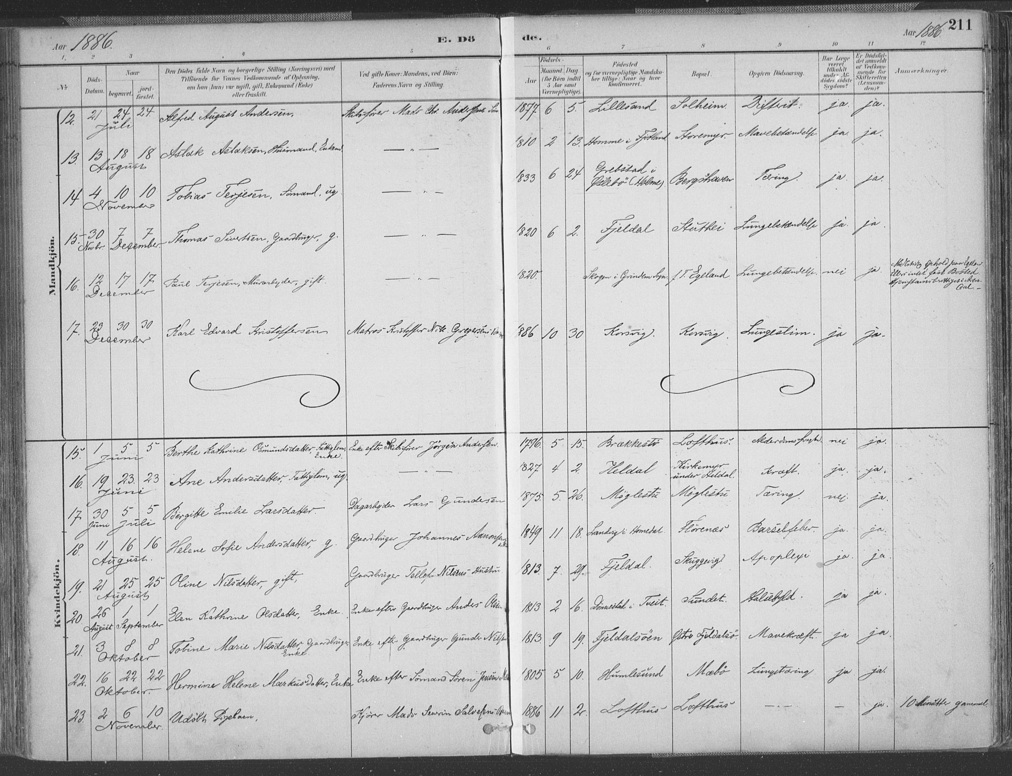 Vestre Moland sokneprestkontor, AV/SAK-1111-0046/F/Fa/Fab/L0009: Parish register (official) no. A 9, 1884-1899, p. 211