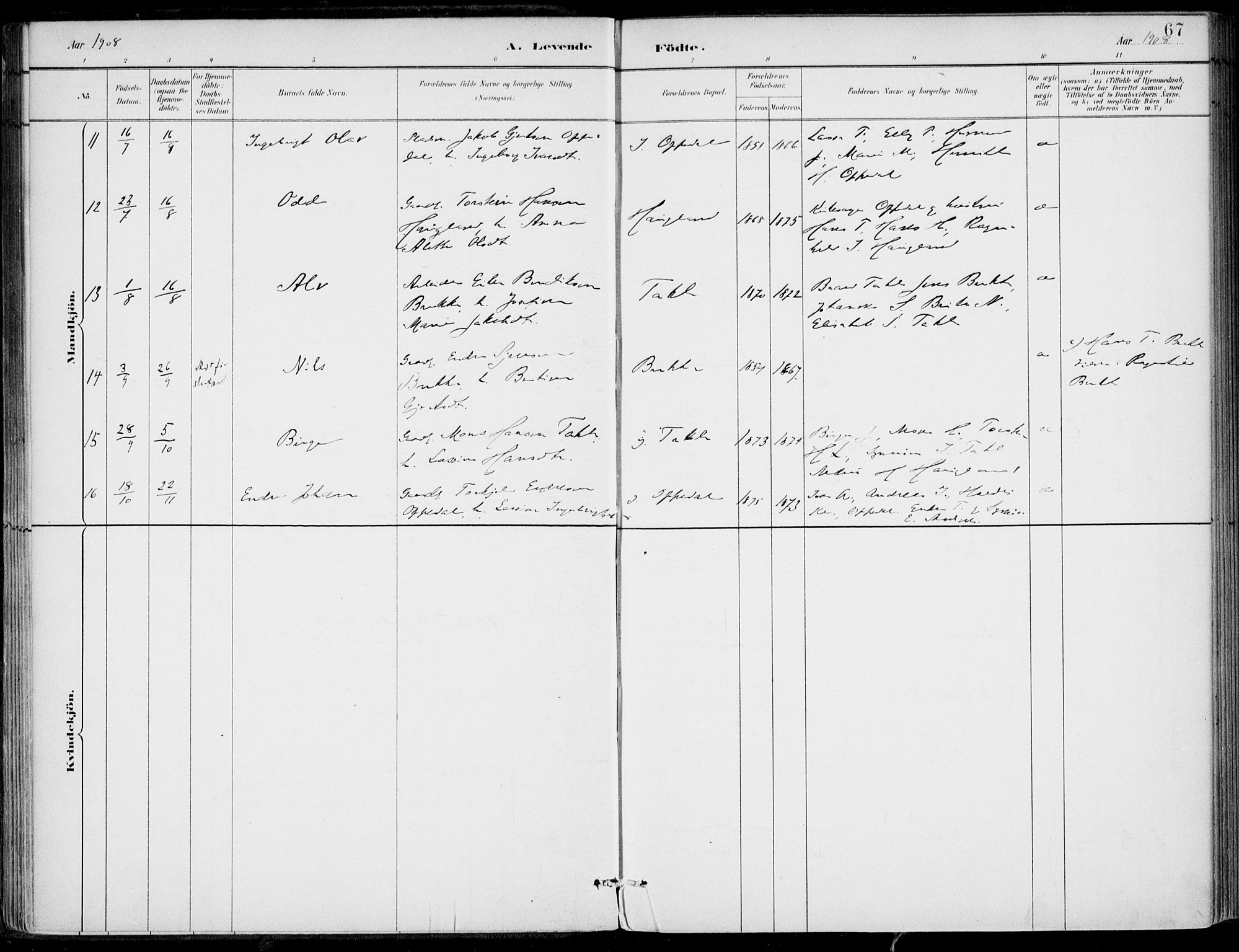 Gulen sokneprestembete, AV/SAB-A-80201/H/Haa/Haac/L0002: Parish register (official) no. C  2, 1882-1914, p. 67