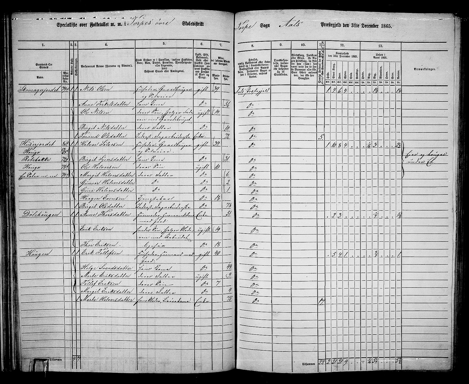 RA, 1865 census for Ål, 1865, p. 53