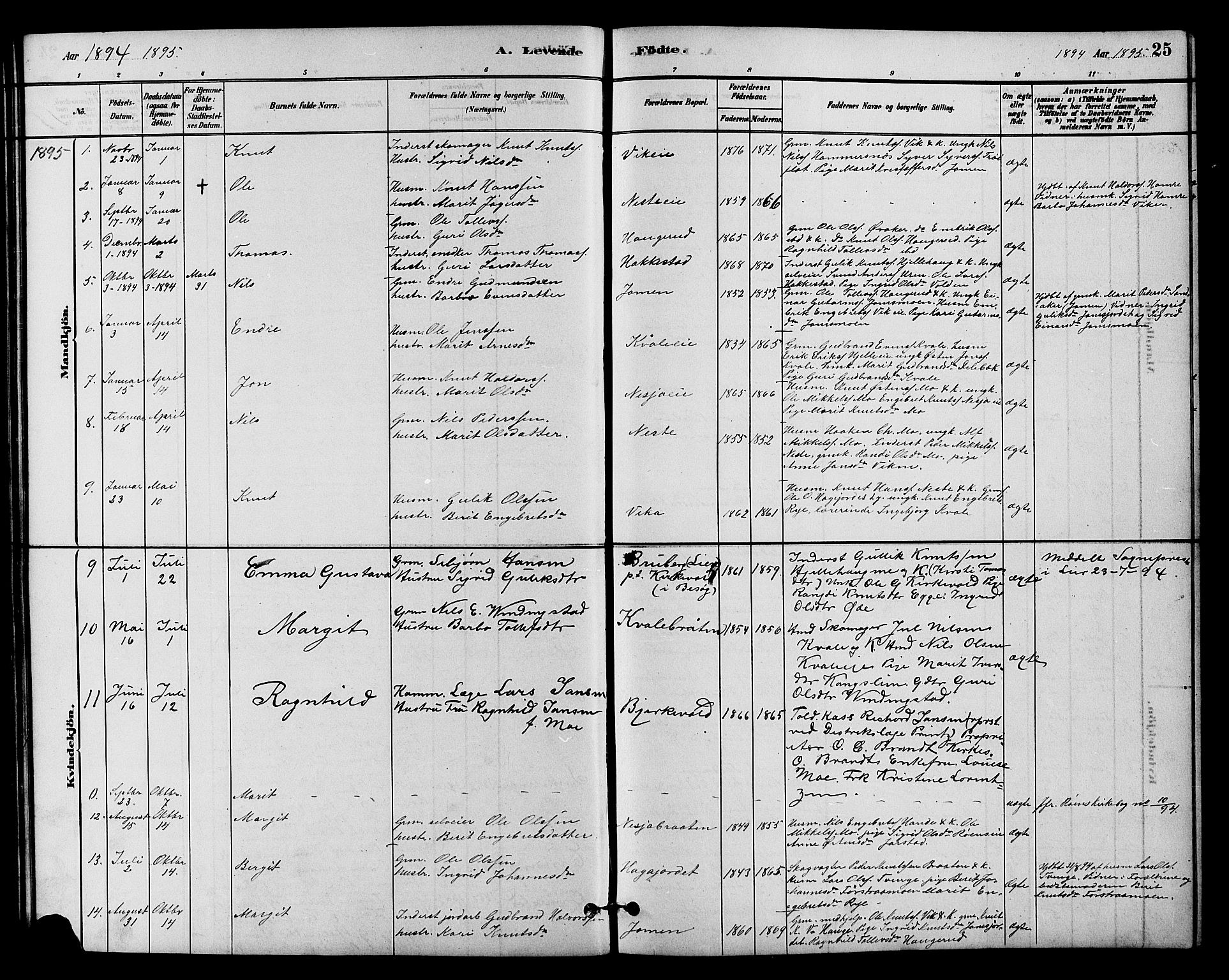 Vestre Slidre prestekontor, SAH/PREST-136/H/Ha/Hab/L0004: Parish register (copy) no. 4, 1881-1912, p. 25