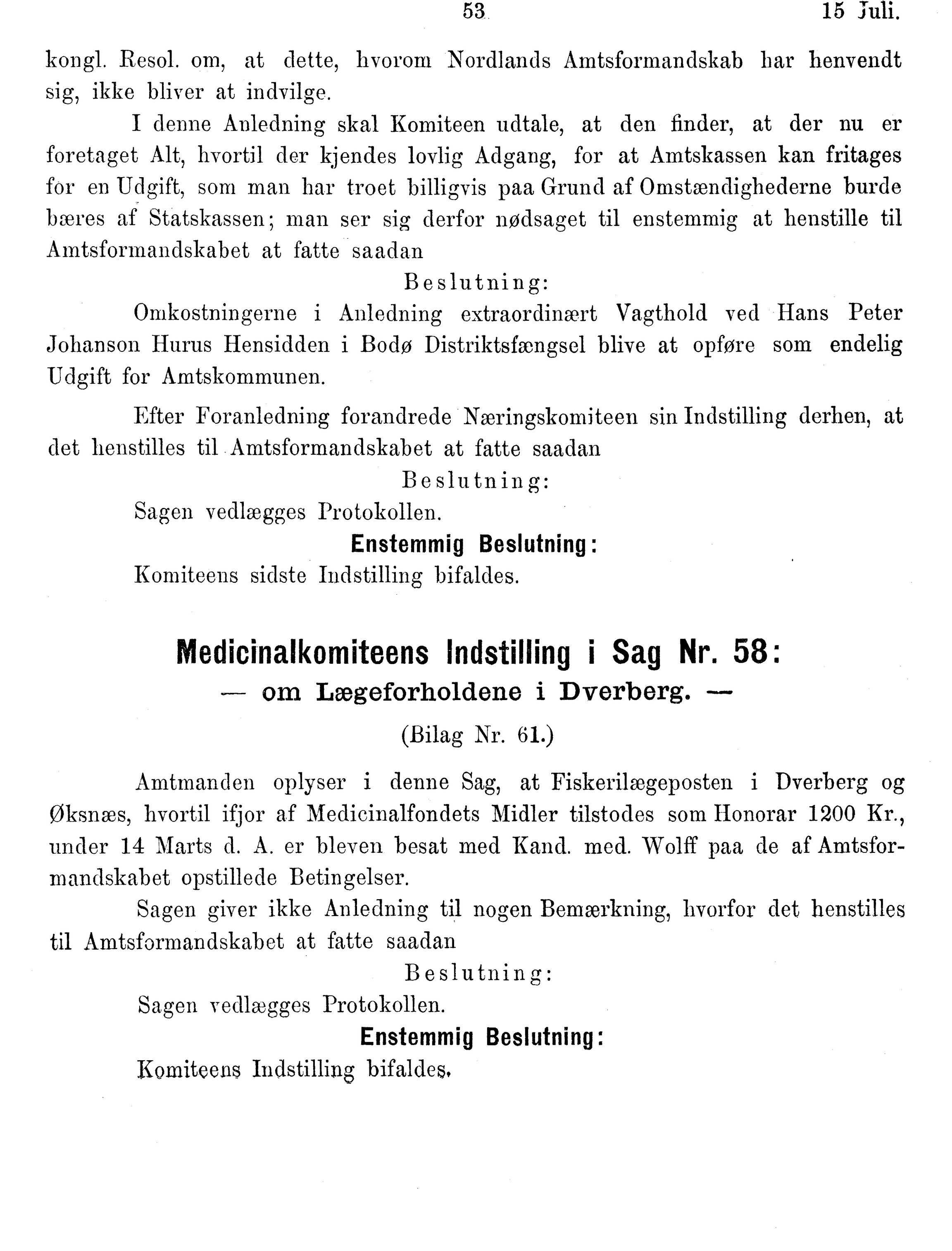 Nordland Fylkeskommune. Fylkestinget, AIN/NFK-17/176/A/Ac/L0014: Fylkestingsforhandlinger 1881-1885, 1881-1885