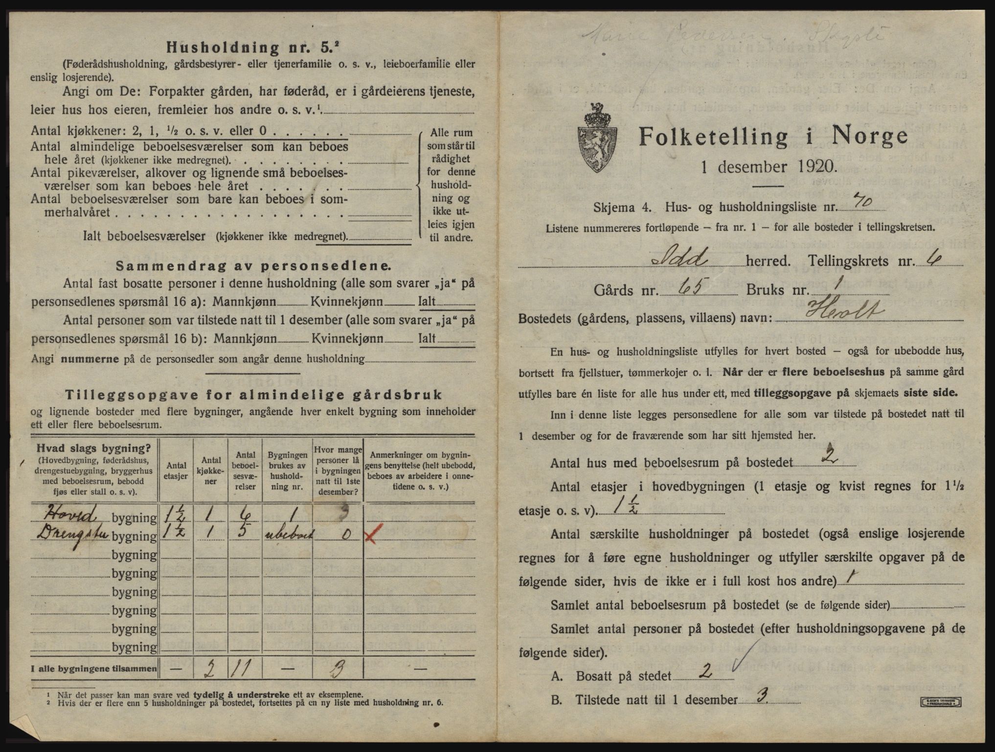 SAO, 1920 census for Idd, 1920, p. 1010