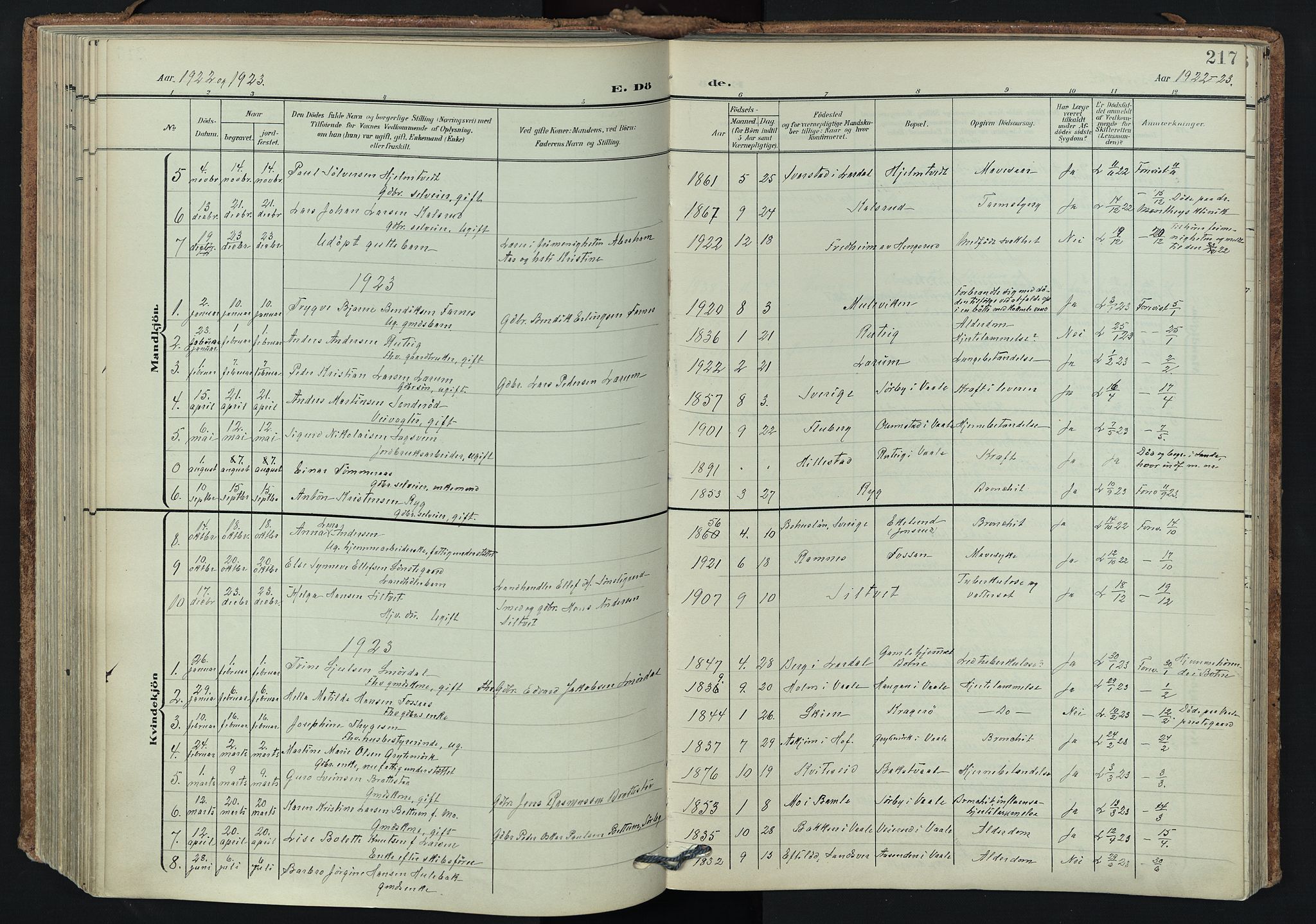 Våle kirkebøker, SAKO/A-334/F/Fa/L0012: Parish register (official) no. I 12, 1907-1934, p. 217