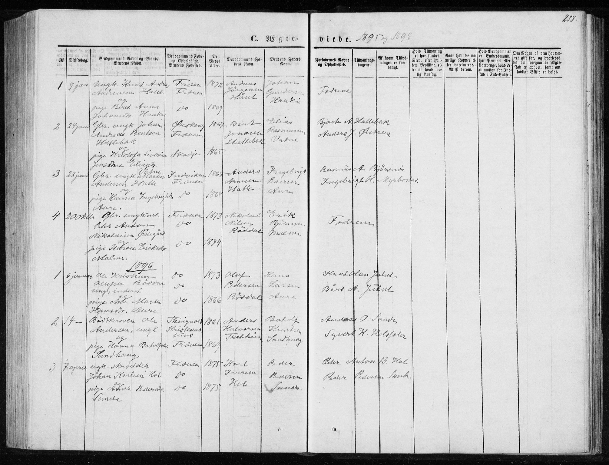 Ministerialprotokoller, klokkerbøker og fødselsregistre - Møre og Romsdal, SAT/A-1454/565/L0754: Parish register (copy) no. 565C03, 1870-1896, p. 238