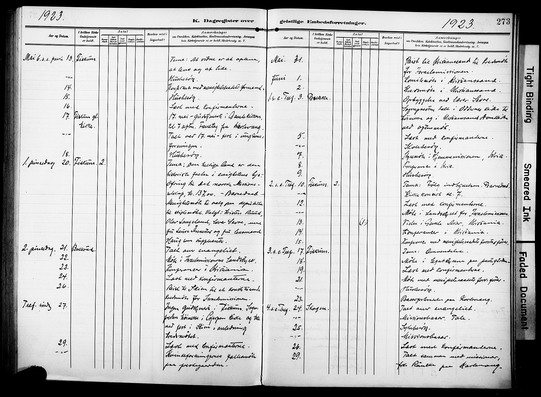 Fiskum kirkebøker, AV/SAKO-A-15/F/Fa/L0004: Parish register (official) no. 4, 1906-1924, p. 273