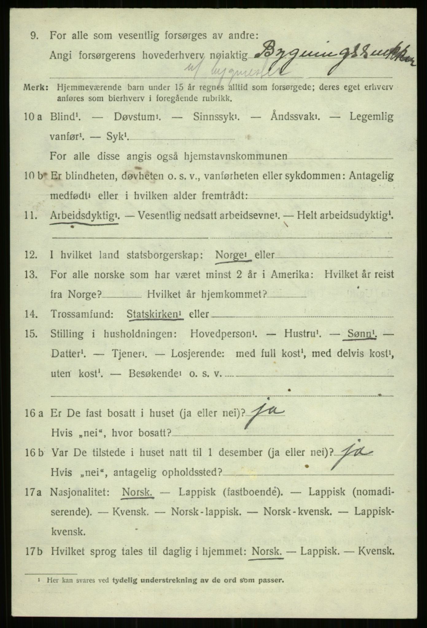 SATØ, 1920 census for Trondenes, 1920, p. 13651