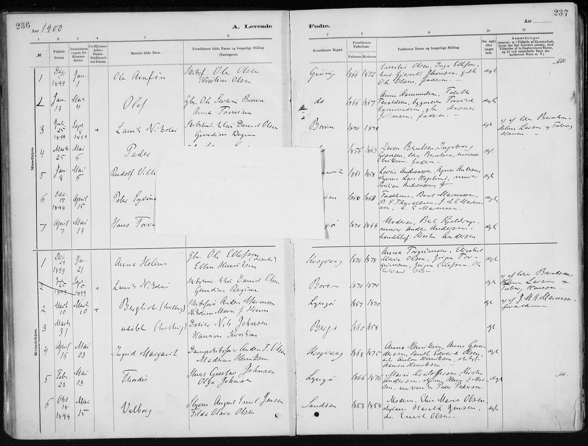 Dypvåg sokneprestkontor, AV/SAK-1111-0007/F/Fa/Faa/L0008: Parish register (official) no. A 8, 1885-1906, p. 236-237