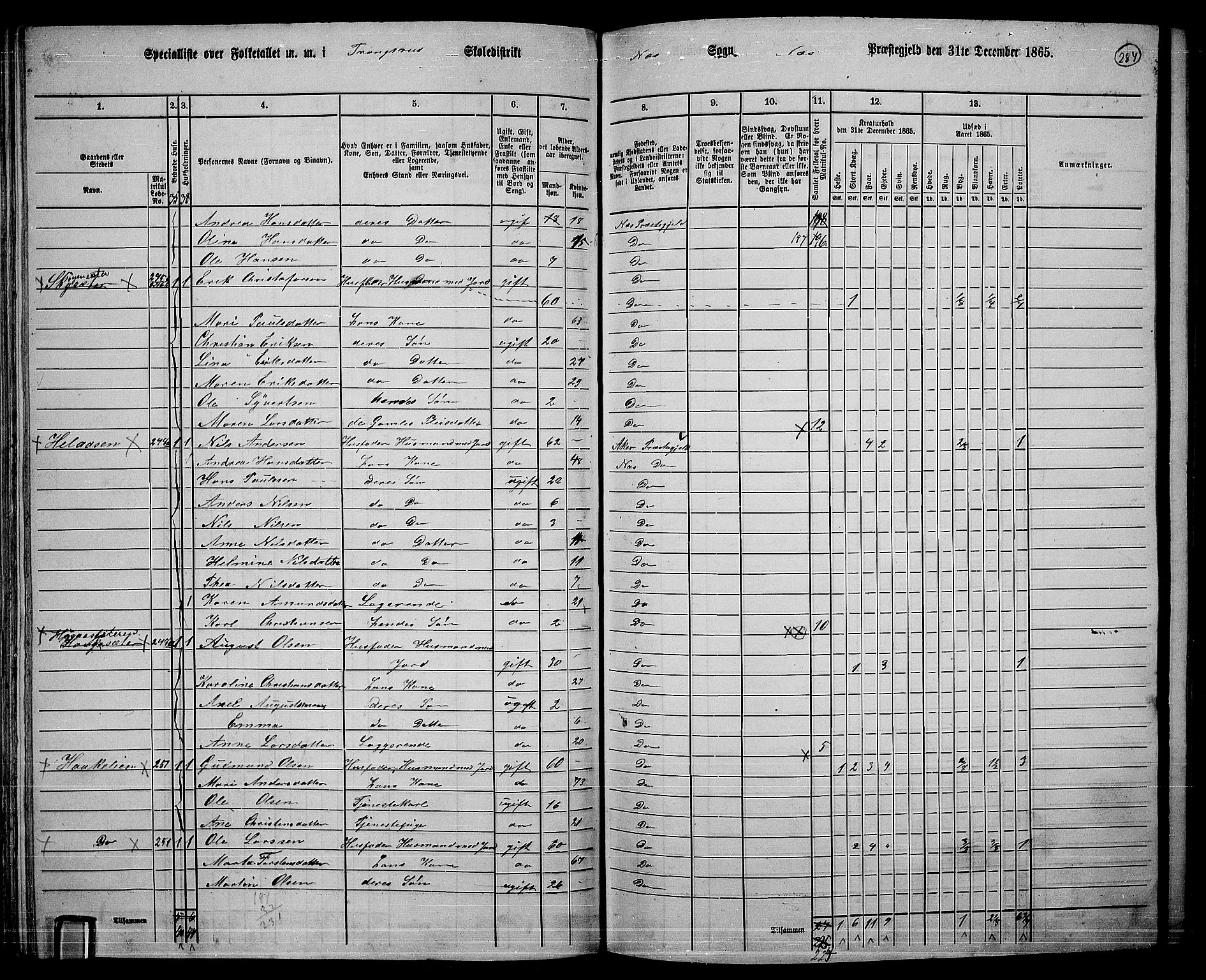 RA, 1865 census for Nes, 1865, p. 264