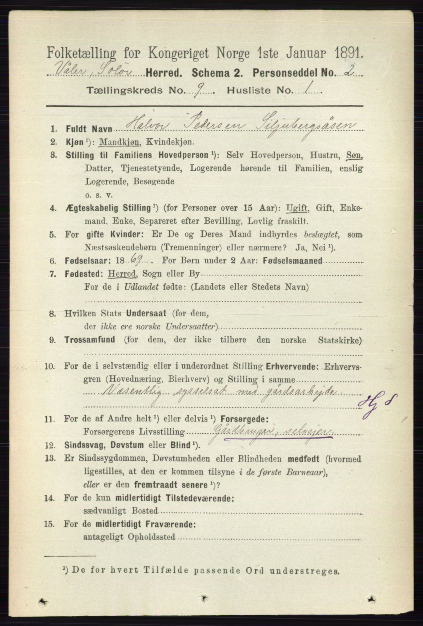 RA, 1891 census for 0426 Våler, 1891, p. 3855