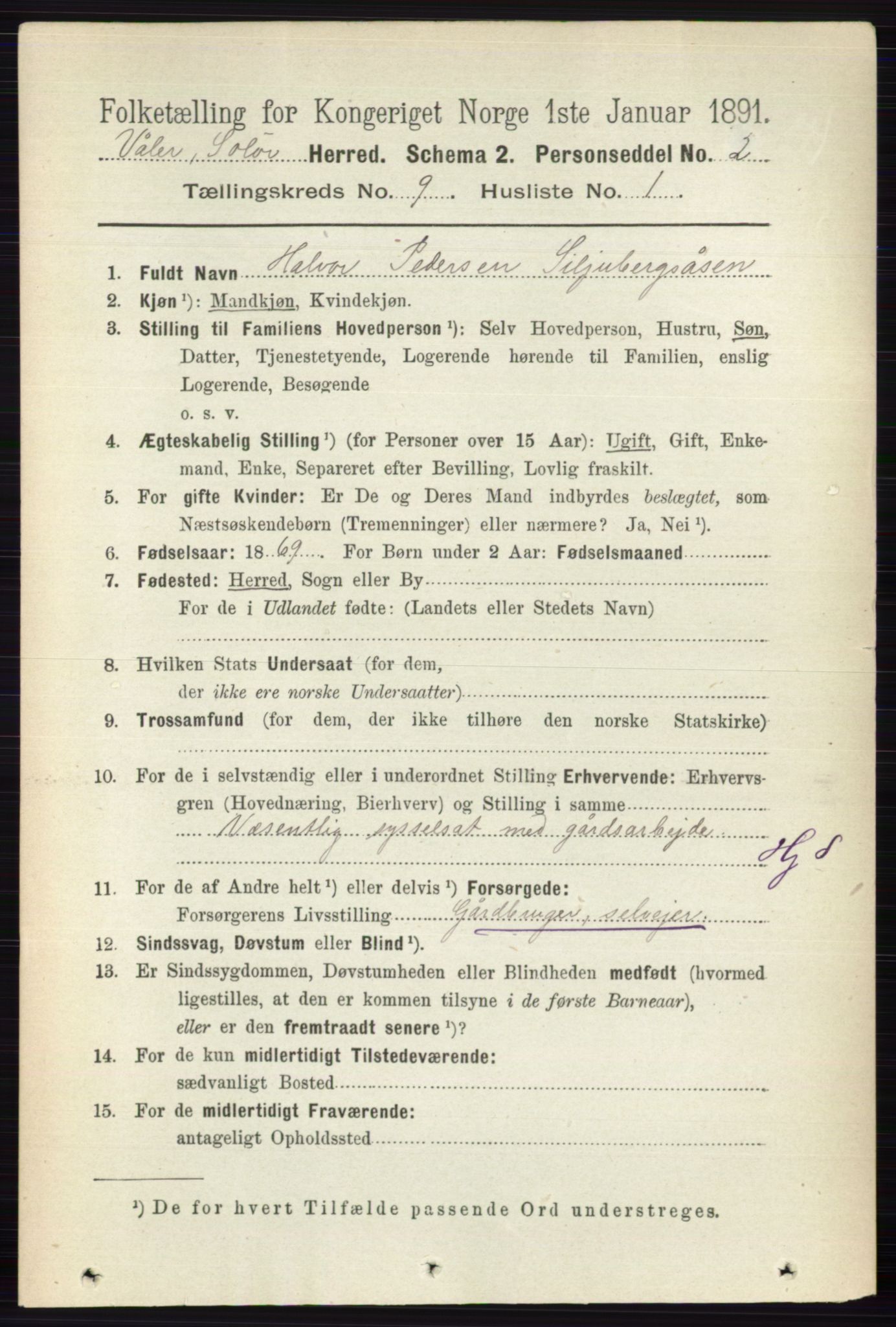 RA, 1891 census for 0426 Våler, 1891, p. 3855