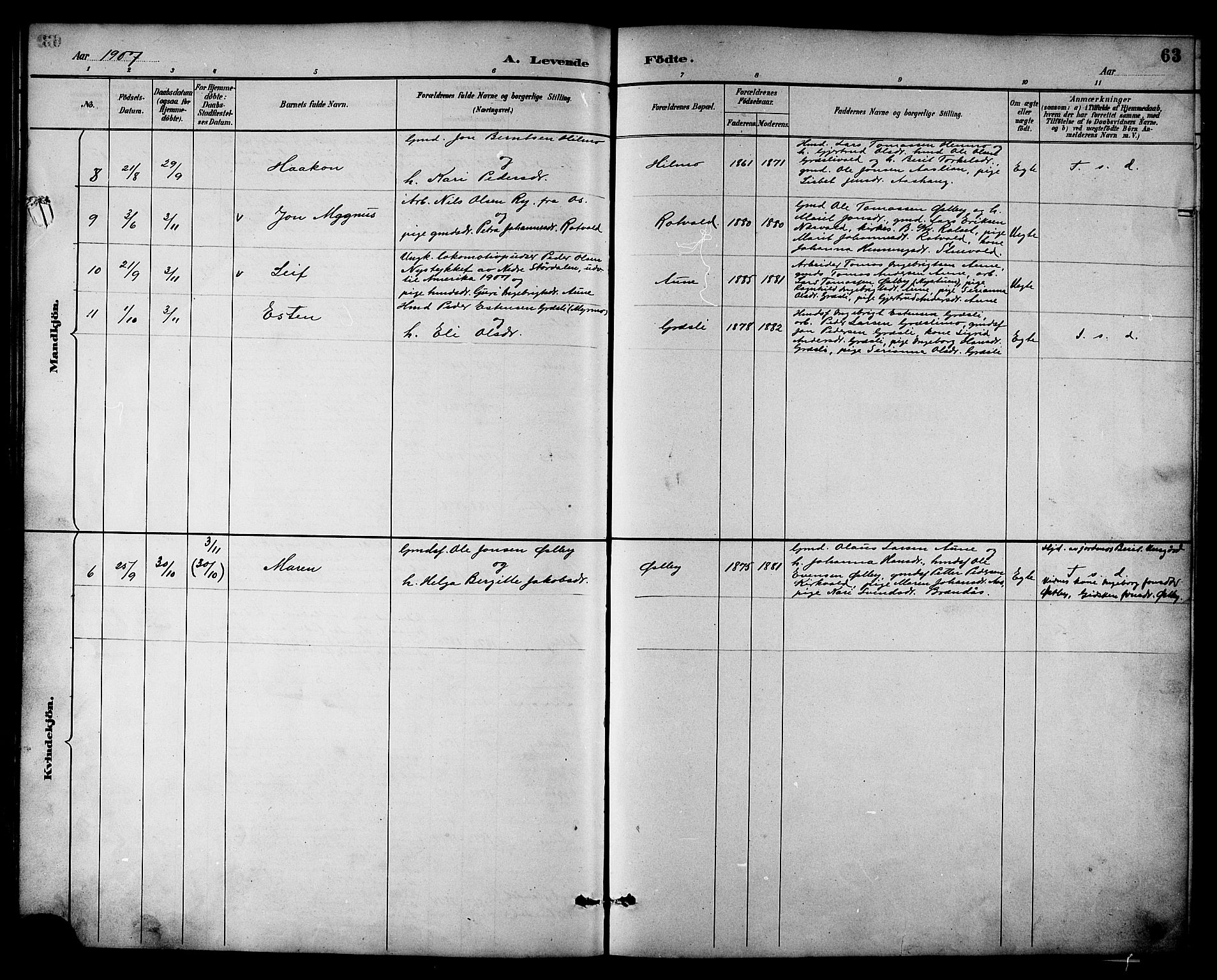 Ministerialprotokoller, klokkerbøker og fødselsregistre - Sør-Trøndelag, SAT/A-1456/698/L1167: Parish register (copy) no. 698C04, 1888-1907, p. 63