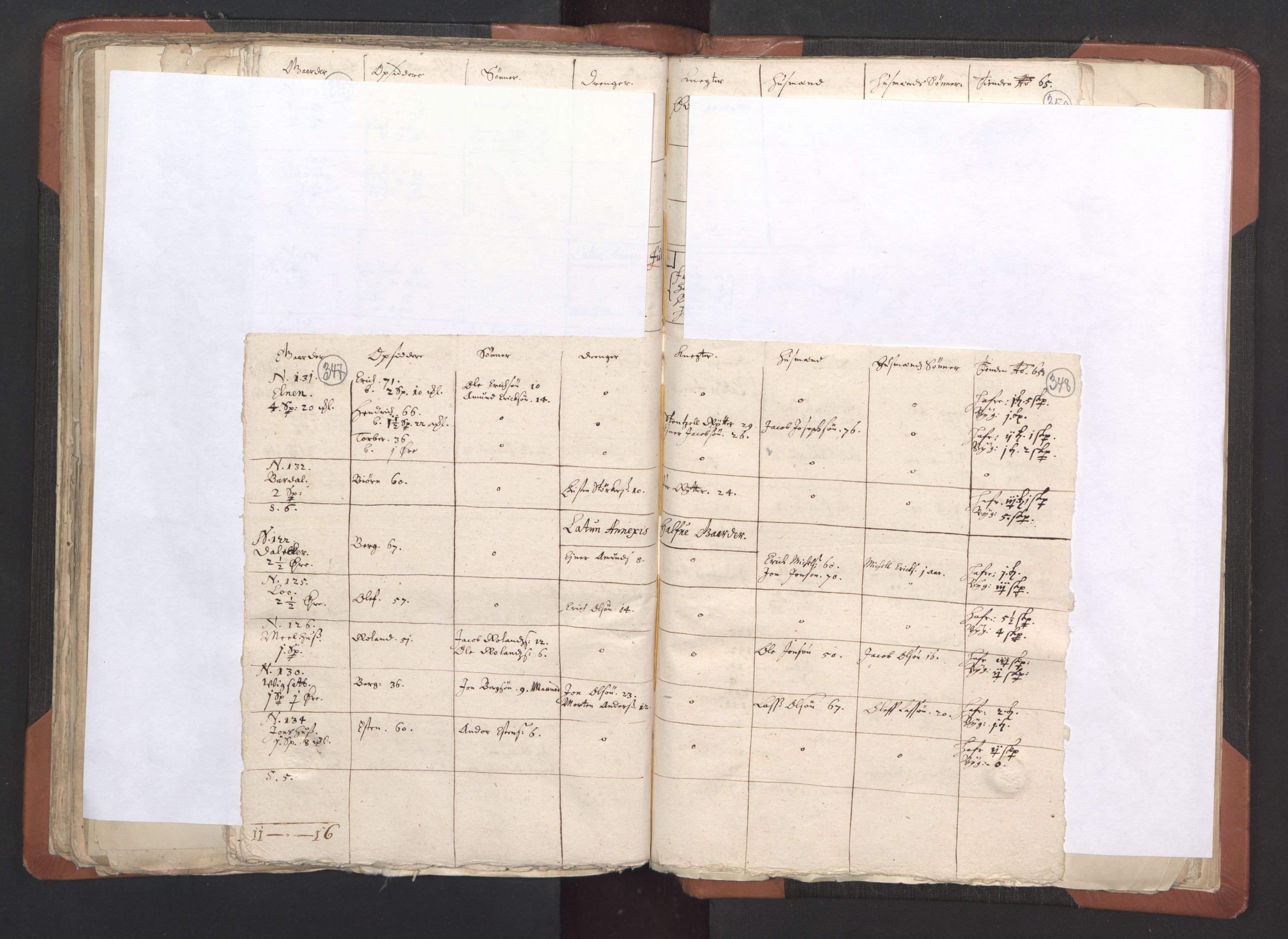 RA, Vicar's Census 1664-1666, no. 33: Innherad deanery, 1664-1666, p. 347-348
