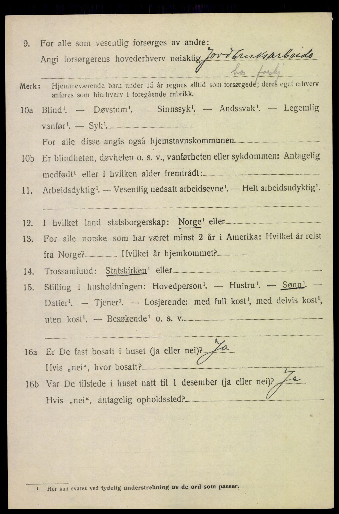 SAH, 1920 census for Skjåk, 1920, p. 2993