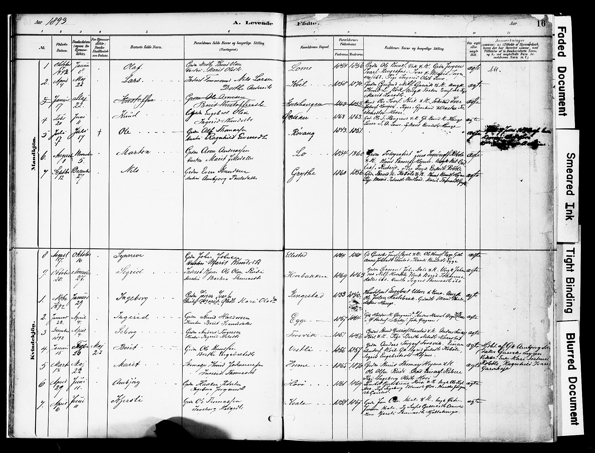Vestre Slidre prestekontor, SAH/PREST-136/H/Ha/Haa/L0005: Parish register (official) no. 5, 1881-1912, p. 16