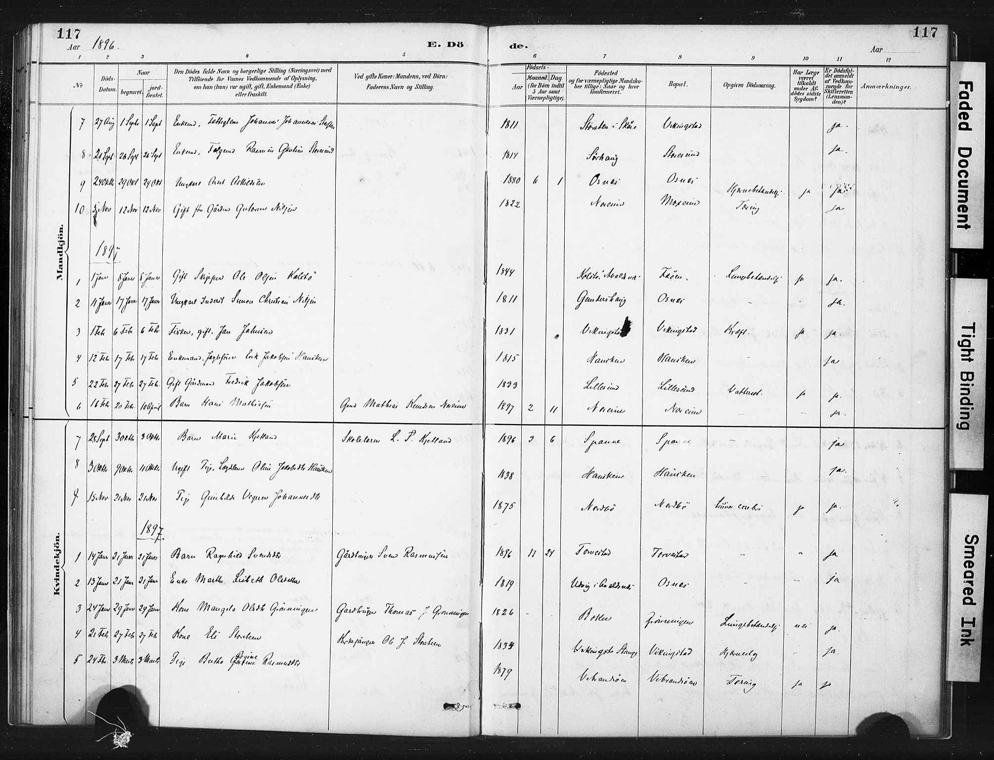 Torvastad sokneprestkontor, AV/SAST-A -101857/H/Ha/Haa/L0015: Parish register (official) no. A 14, 1888-1899, p. 117