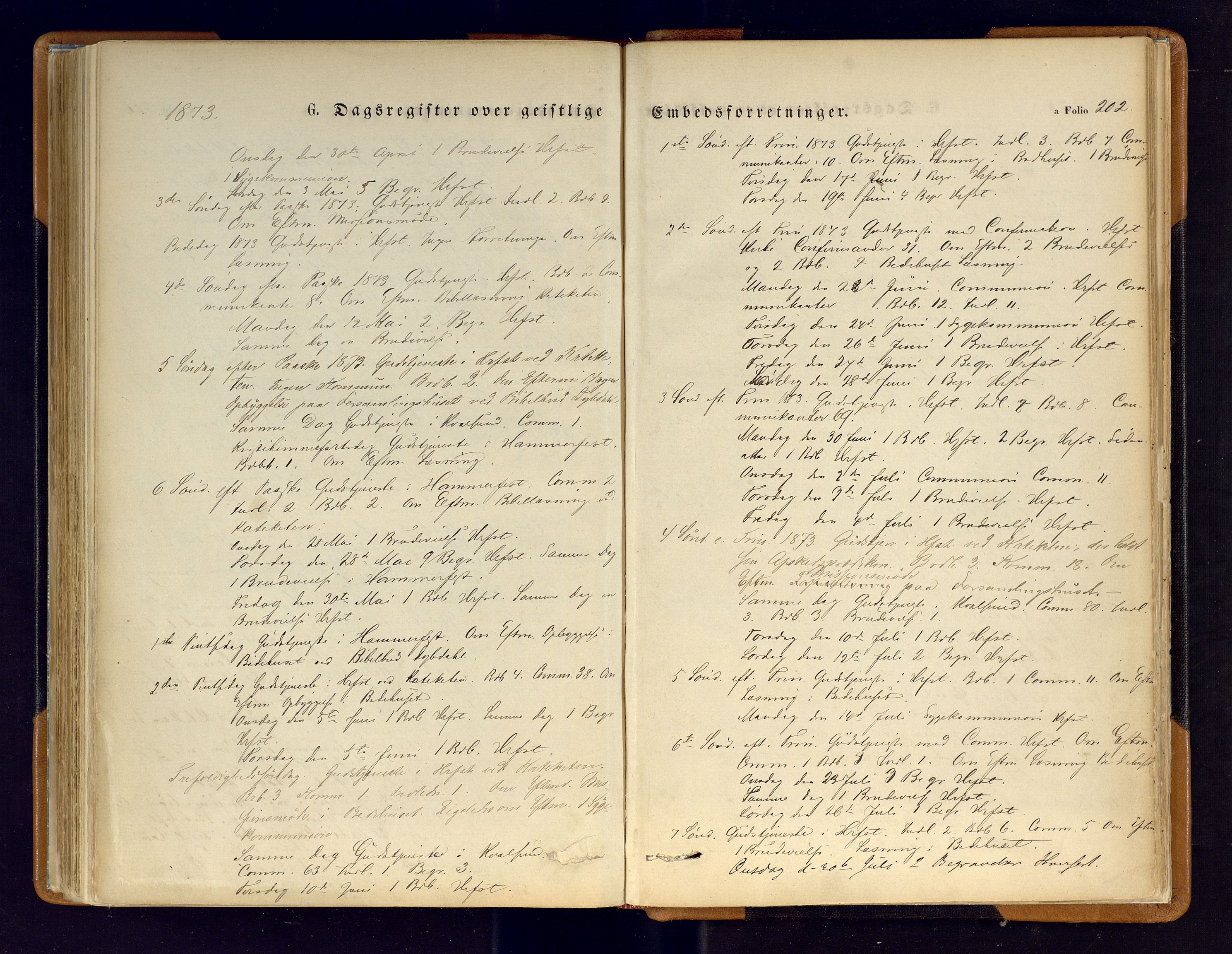 Hammerfest sokneprestkontor, AV/SATØ-S-1347/H/Ha/L0006.kirke: Parish register (official) no. 6, 1869-1877, p. 202